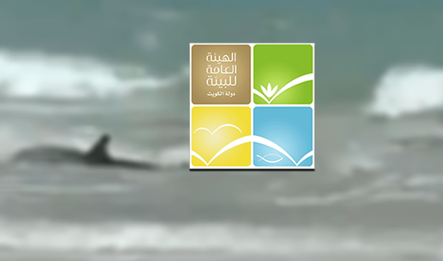 &laquo;البيئة&raquo;: ظهور سمكة قرش قرب سواحل &laquo;بنيدر&raquo;.. سلوك موسمي طبيعي