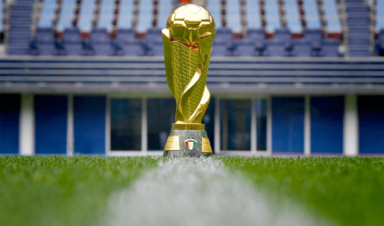 برعاية وحضور سمو ولي العهد.. نهائي كأس سموه 18 مايو