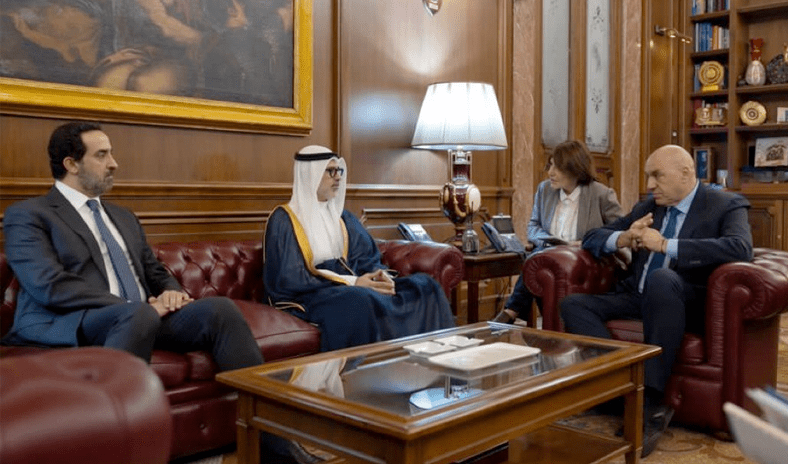 وزير الخارجية يلتقي وزير الدفاع الإيطالي خلال زيارته الرسمية إلى روما