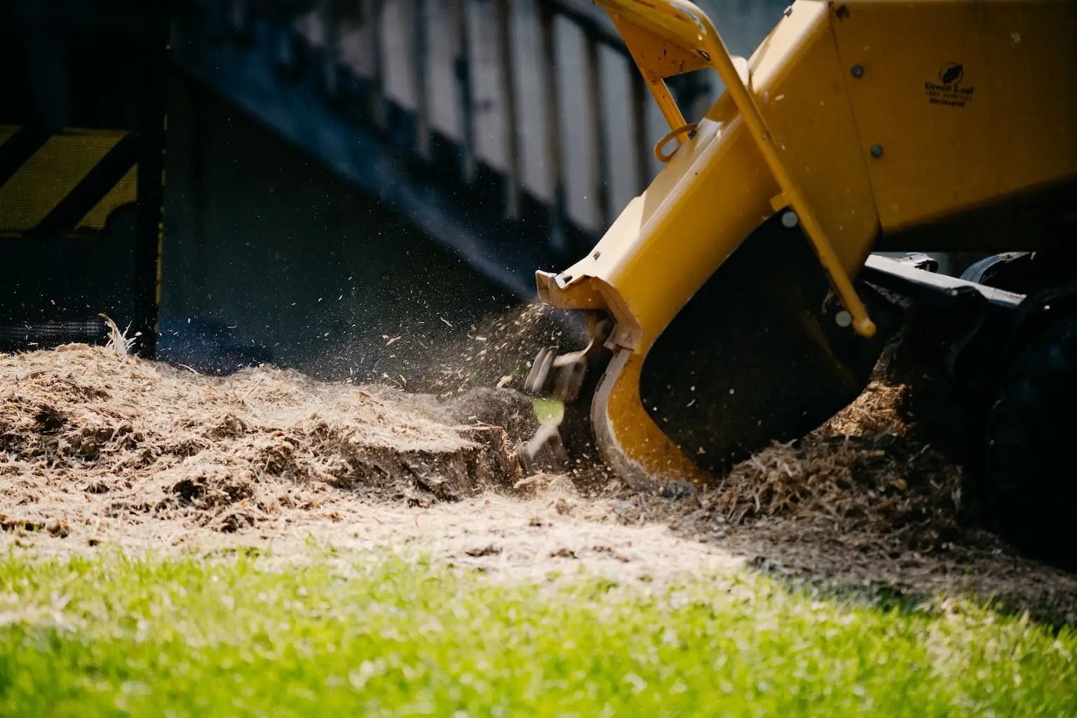 A stump grinding removing a tree stump in Saskatoon