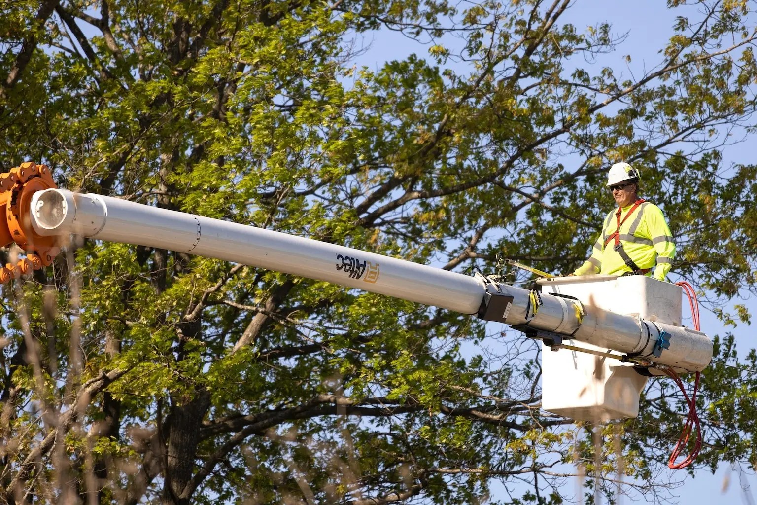A worker in a lift is pruning a tree in Saskatoon.