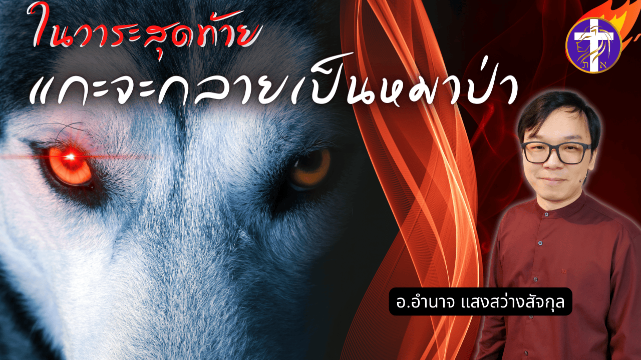 ในวาระสุดท้าย แกะจะกลายเป็นหมาป่า | กลับใจก่อนจะสายเกินแก้ | ตัดวงจรหมาป่าออกไปจากชีวิต!!