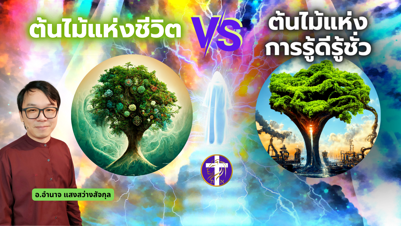 ต้นไม้แห่งชีวิต VS ต้นไม้แห่งการรู้ดีรู้ชั่ว | ทางแห่งชีวิต VS ทางแห่งความตาย | มี 2 ทางให้เลือกเท่านั้น