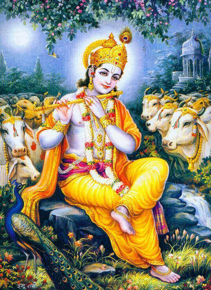 krishna vishnu avatar