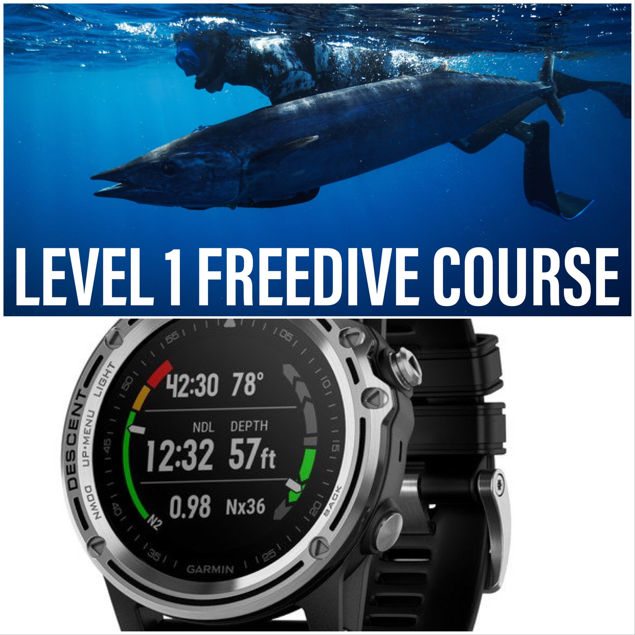 garmin dive watch