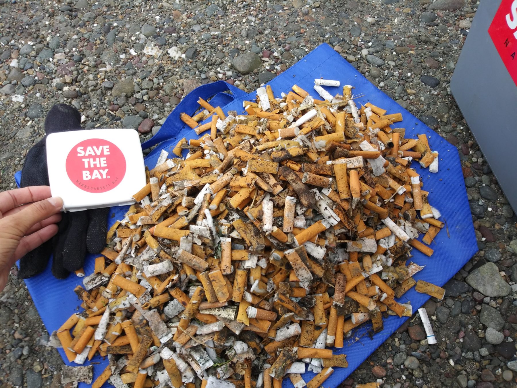 The Bristol-Warren Girl Scouts clean up Narrows Boat Ramp during ICC 2018