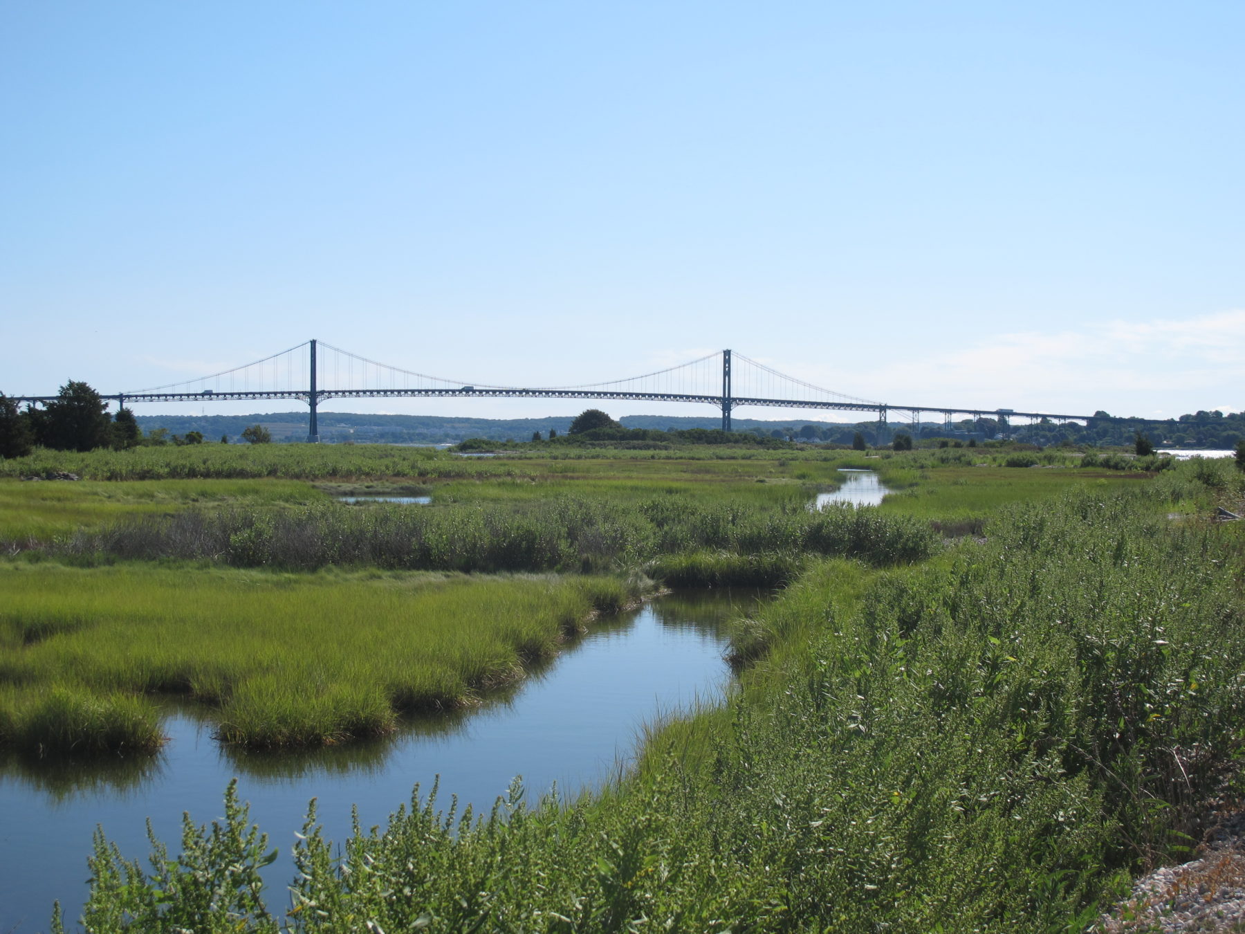 Marsh-with-bridge