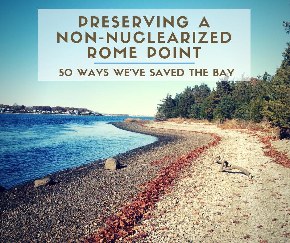 A pristine Rome Point shoreline