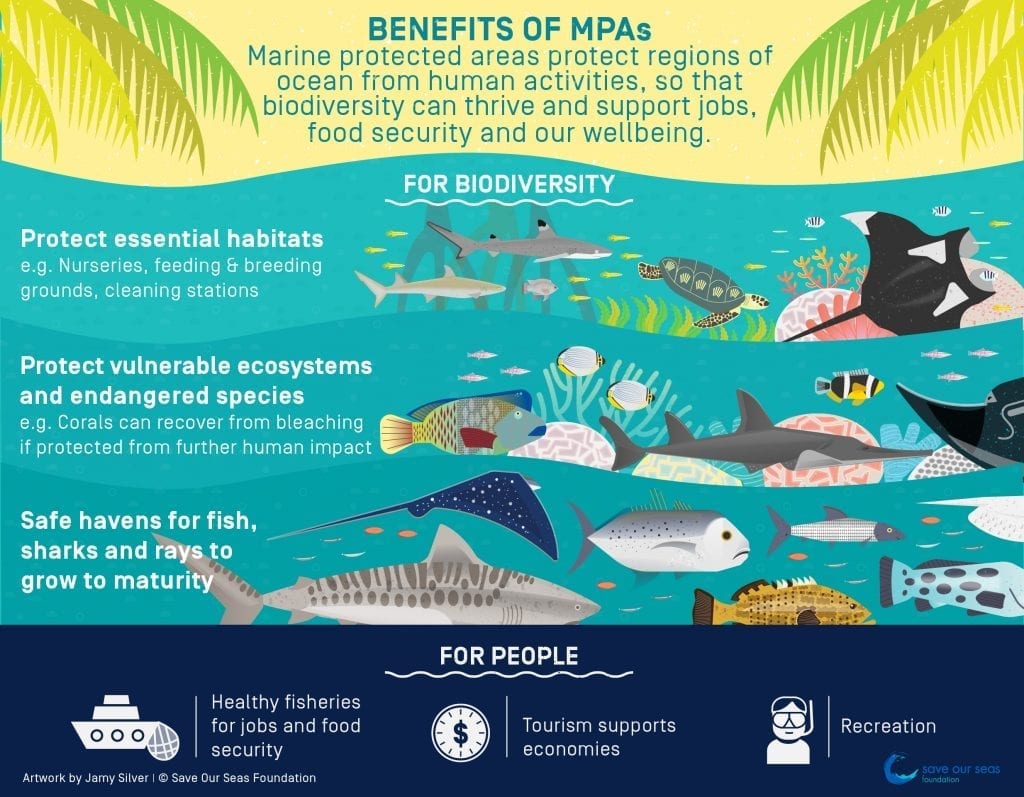 pix Marine Protected Areas save our seas foundation