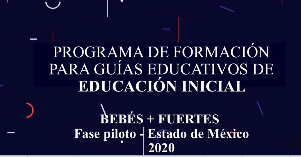 Lee más sobre el artículo Programa de formación para guías educativos de educación inicial