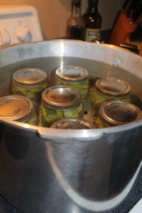 Awesome Canning Recipes and Ideas (2)