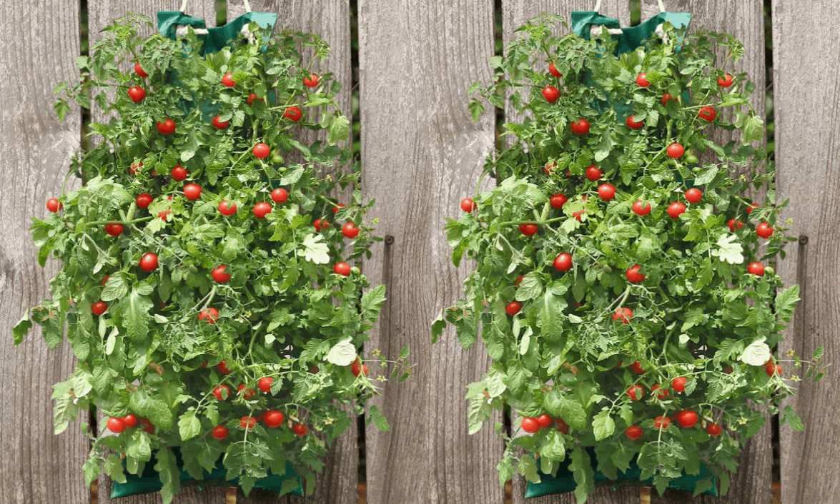 Organic indoor/outdoor vegetable hanging garden $9.99