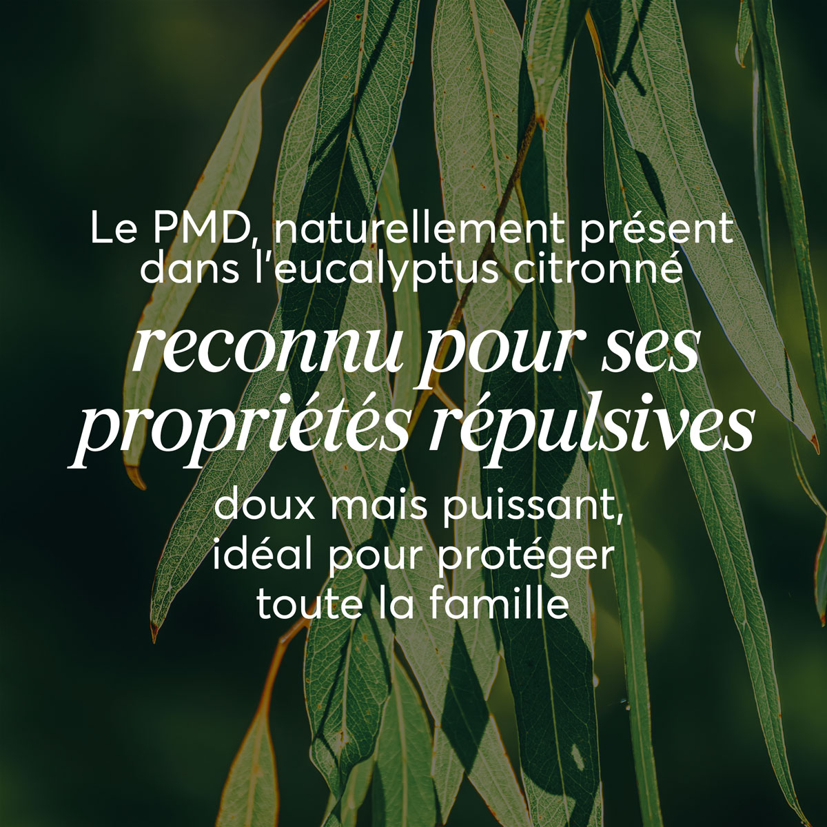 PMD Répulsif naturel
