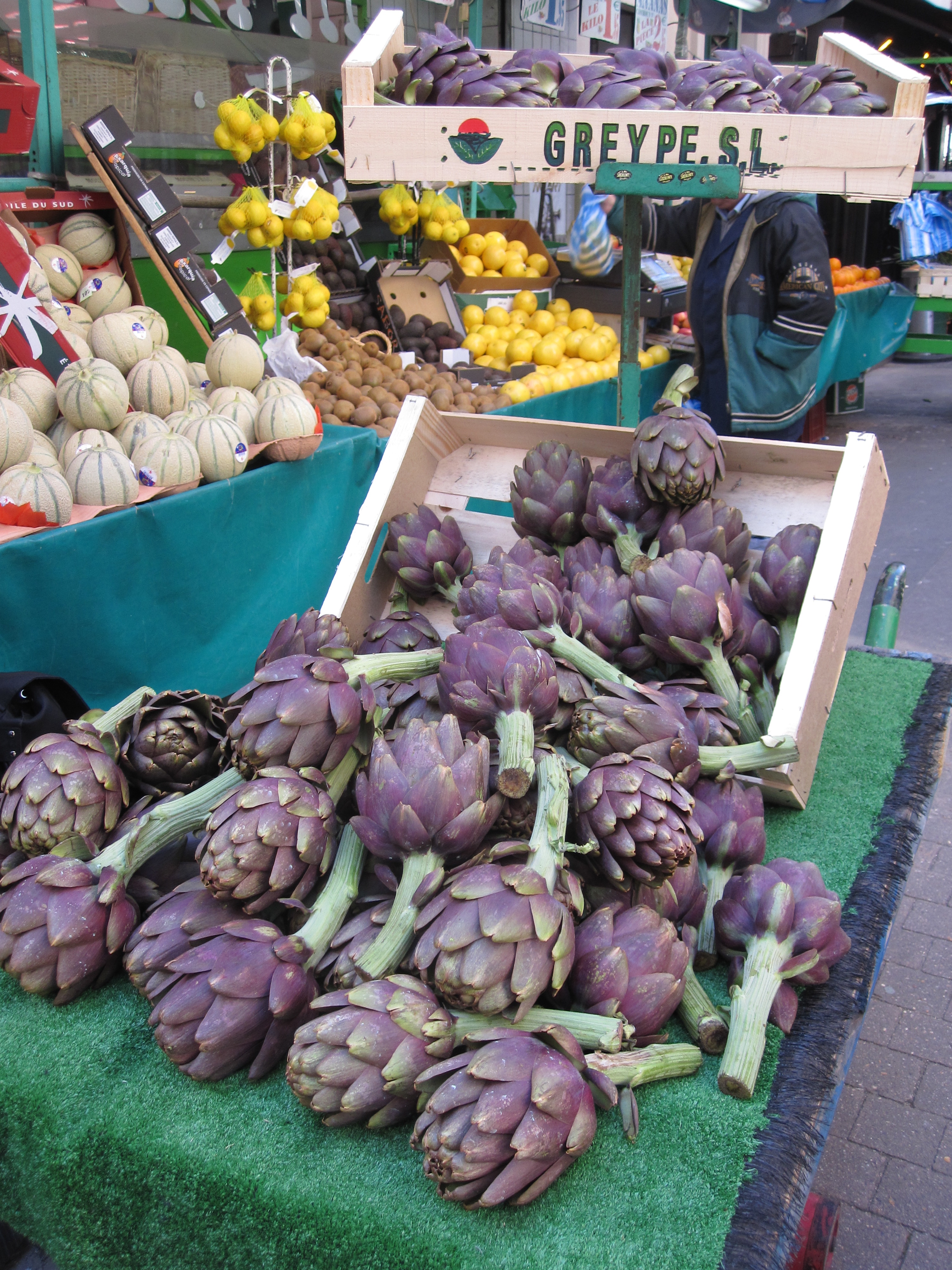 fresh artichokes photo - Karen Anderson