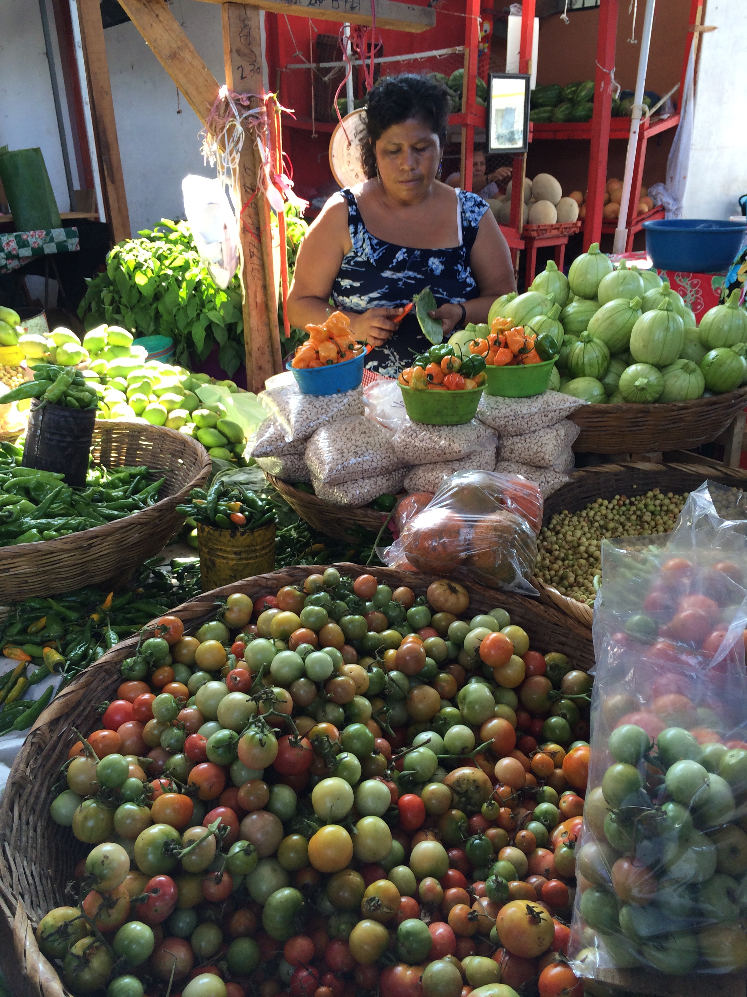 tomatoes mixed with tomatillos