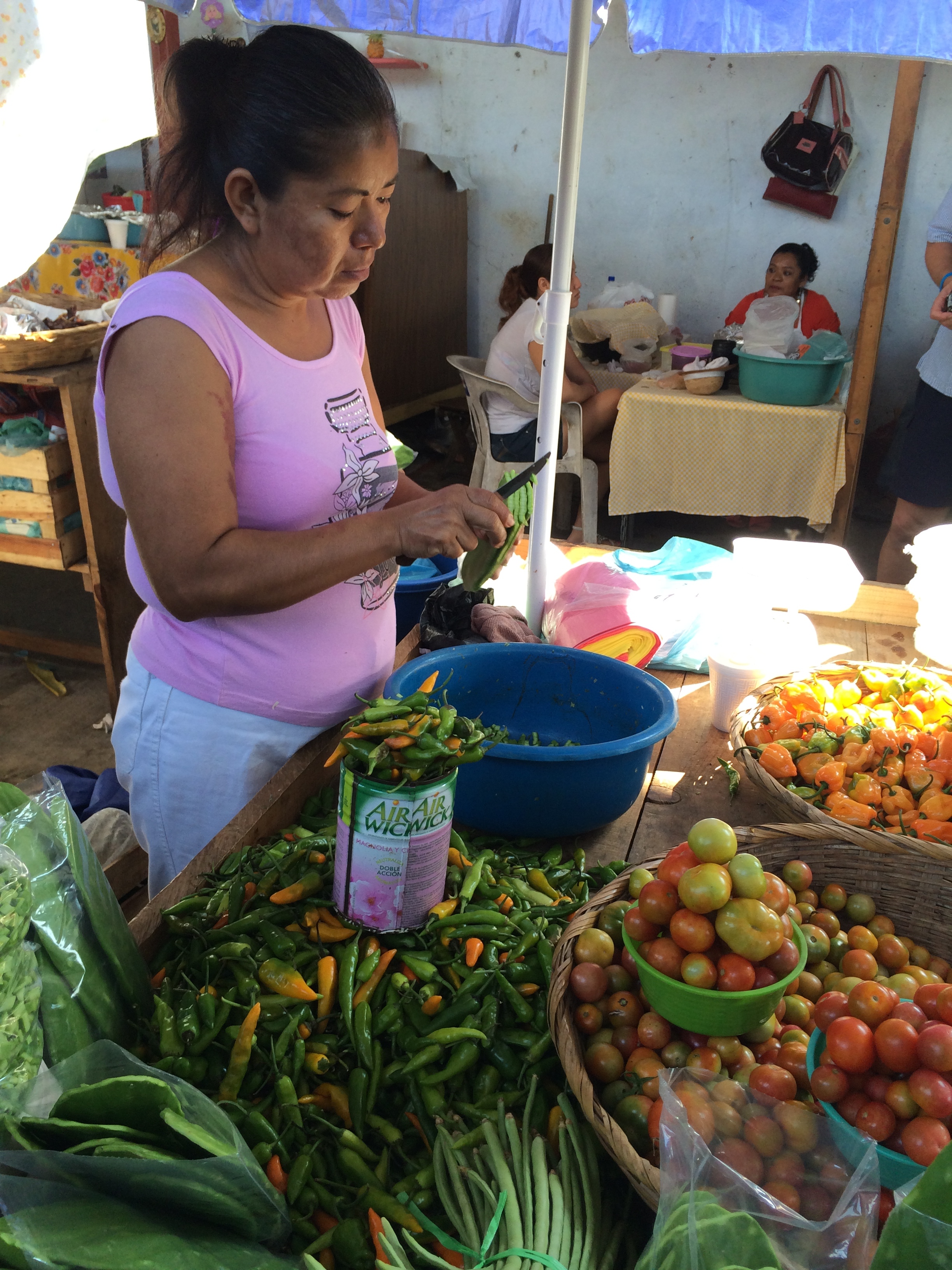 cutting nopales (cactus) photo - Karen Anderson