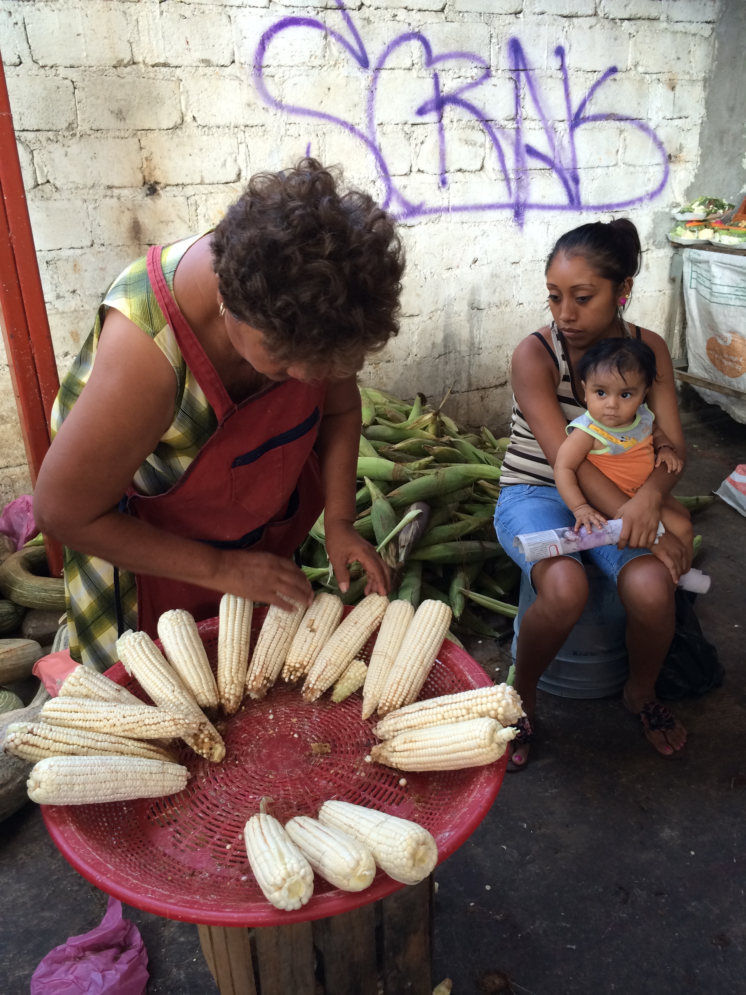 corn - still a Mexican staple food photo - Karen Anderson