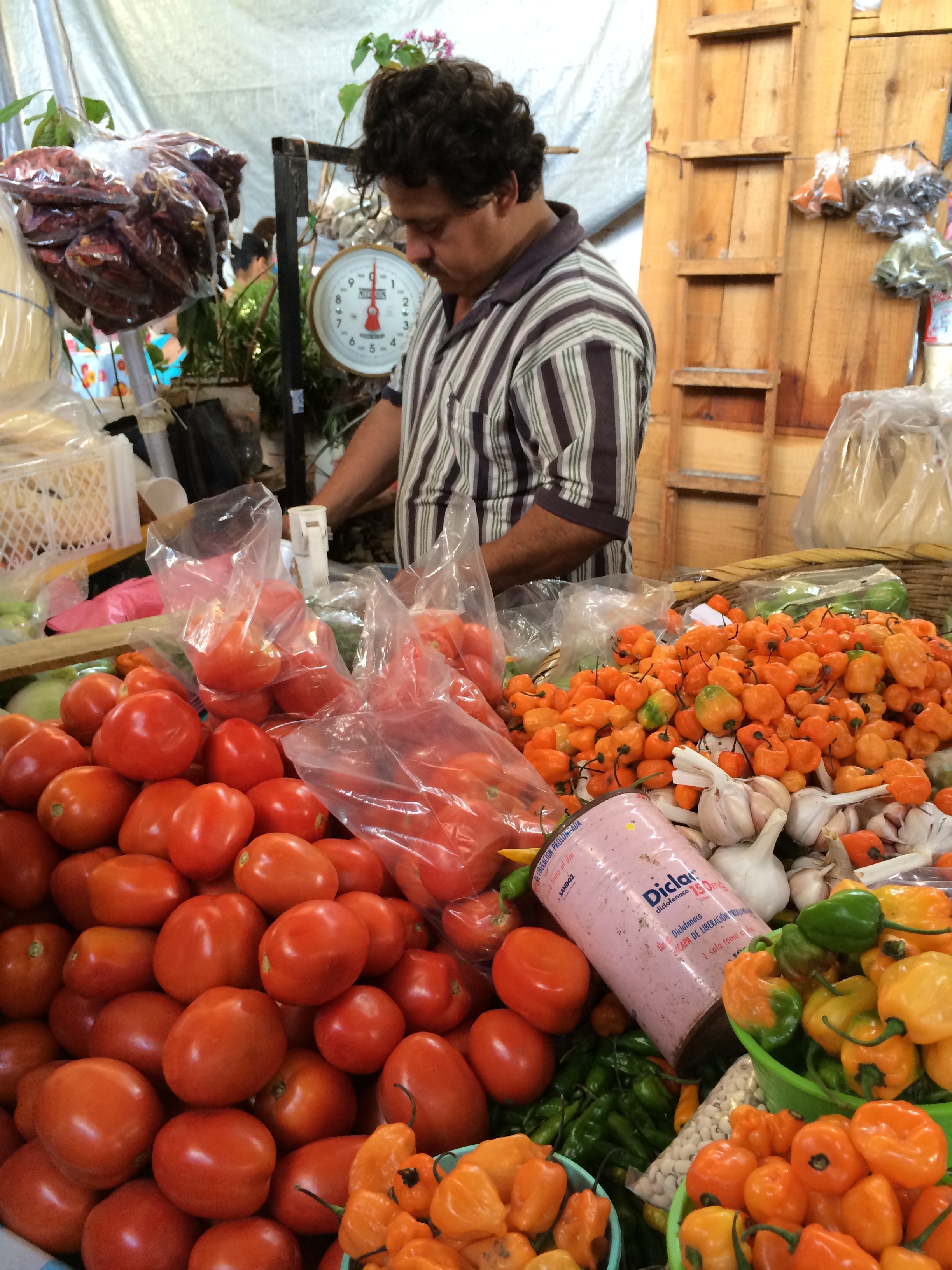 tomatoes and chilies photo - Karen Anderson