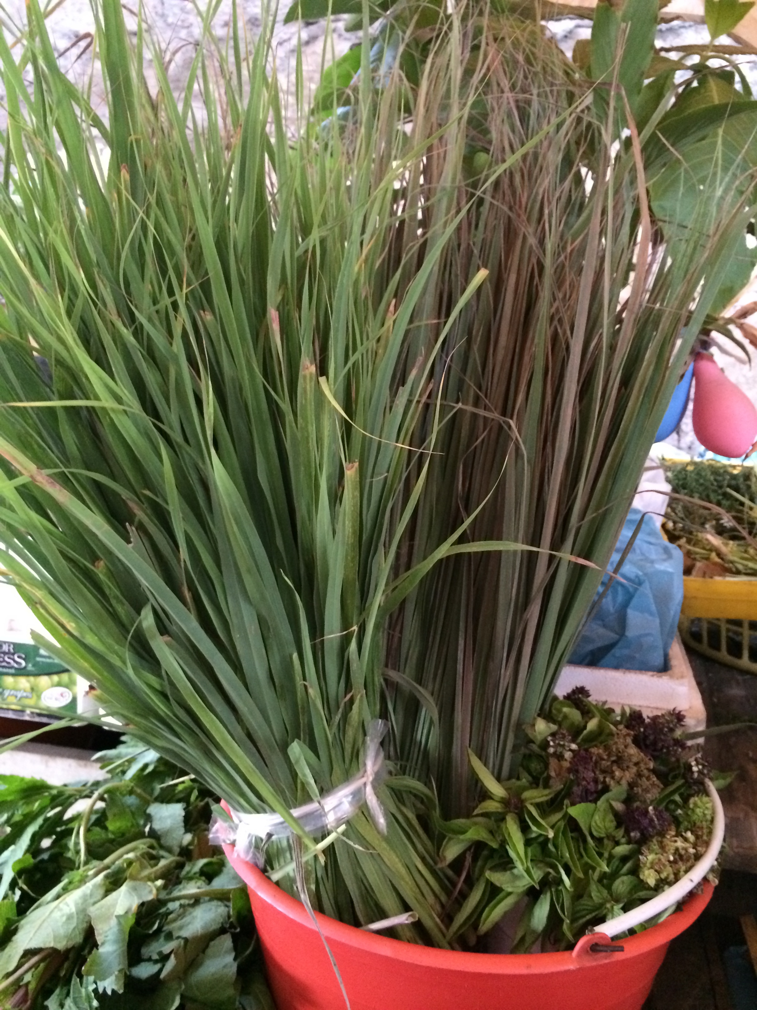 local herbs photo - Karen Anderson