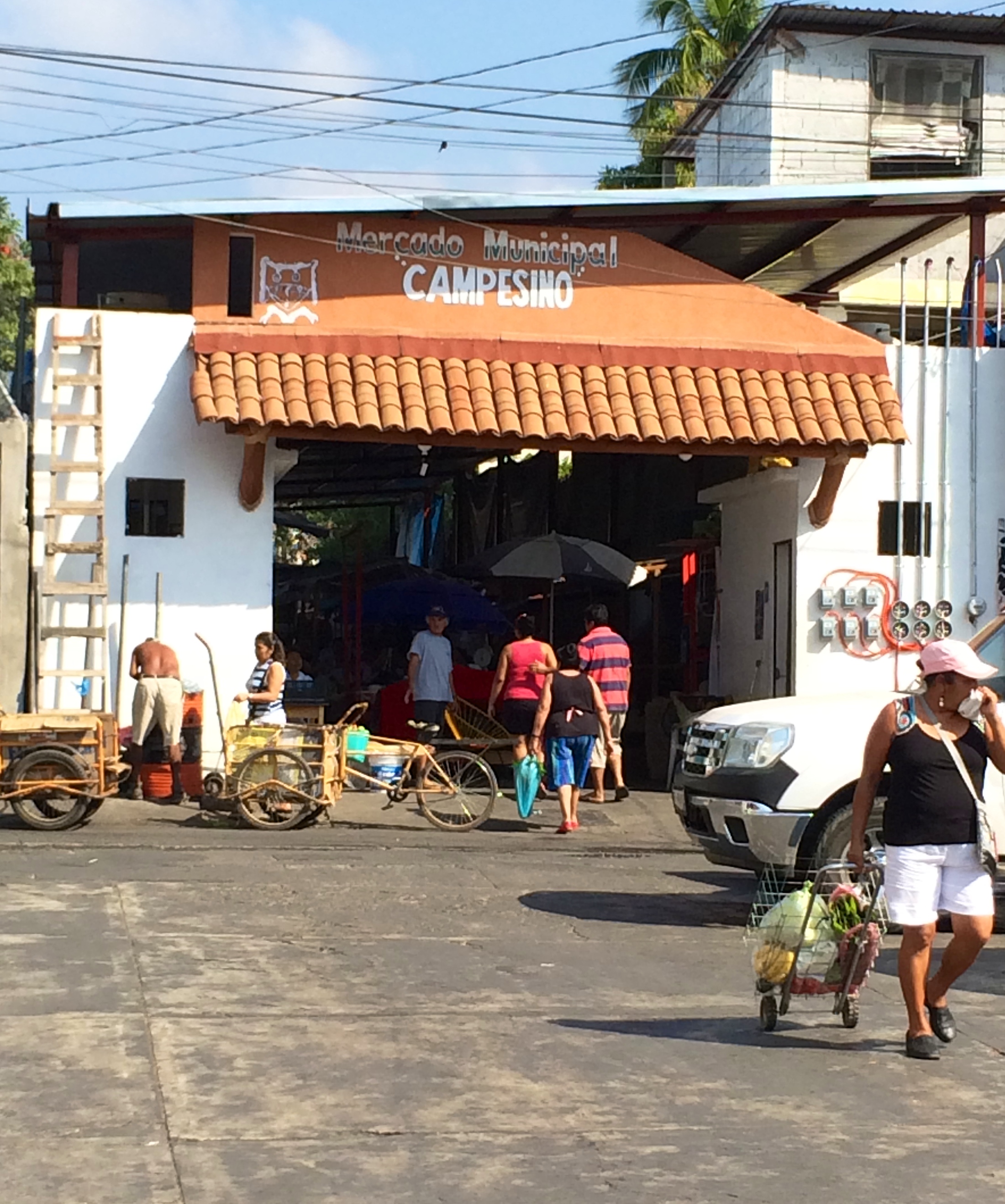 market campesino Zihautanejo photo - Karen Anderson