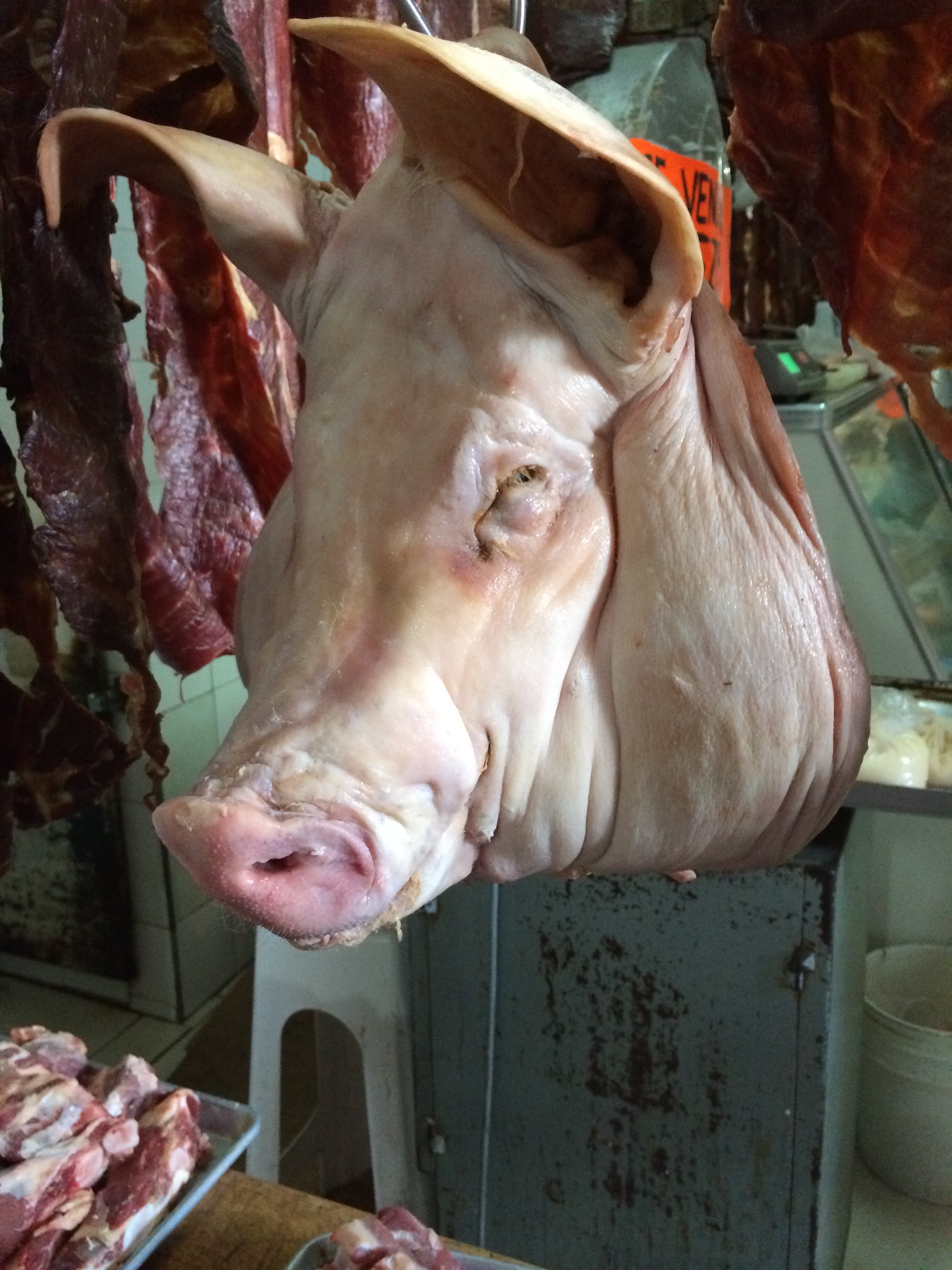 pig's head at il centro in Zihuatanejo photo - Karen Anderson