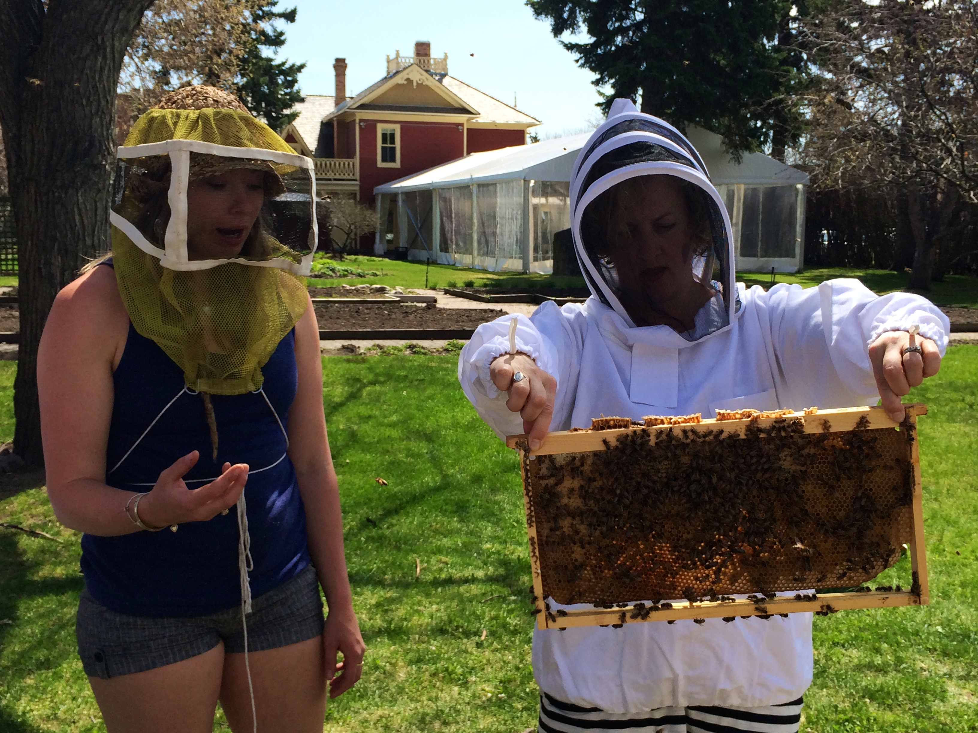 Me checking on my bees with my beekeeping guru Eliese Watson (we don't open the hives on the tours!) photo - Karen Anderson