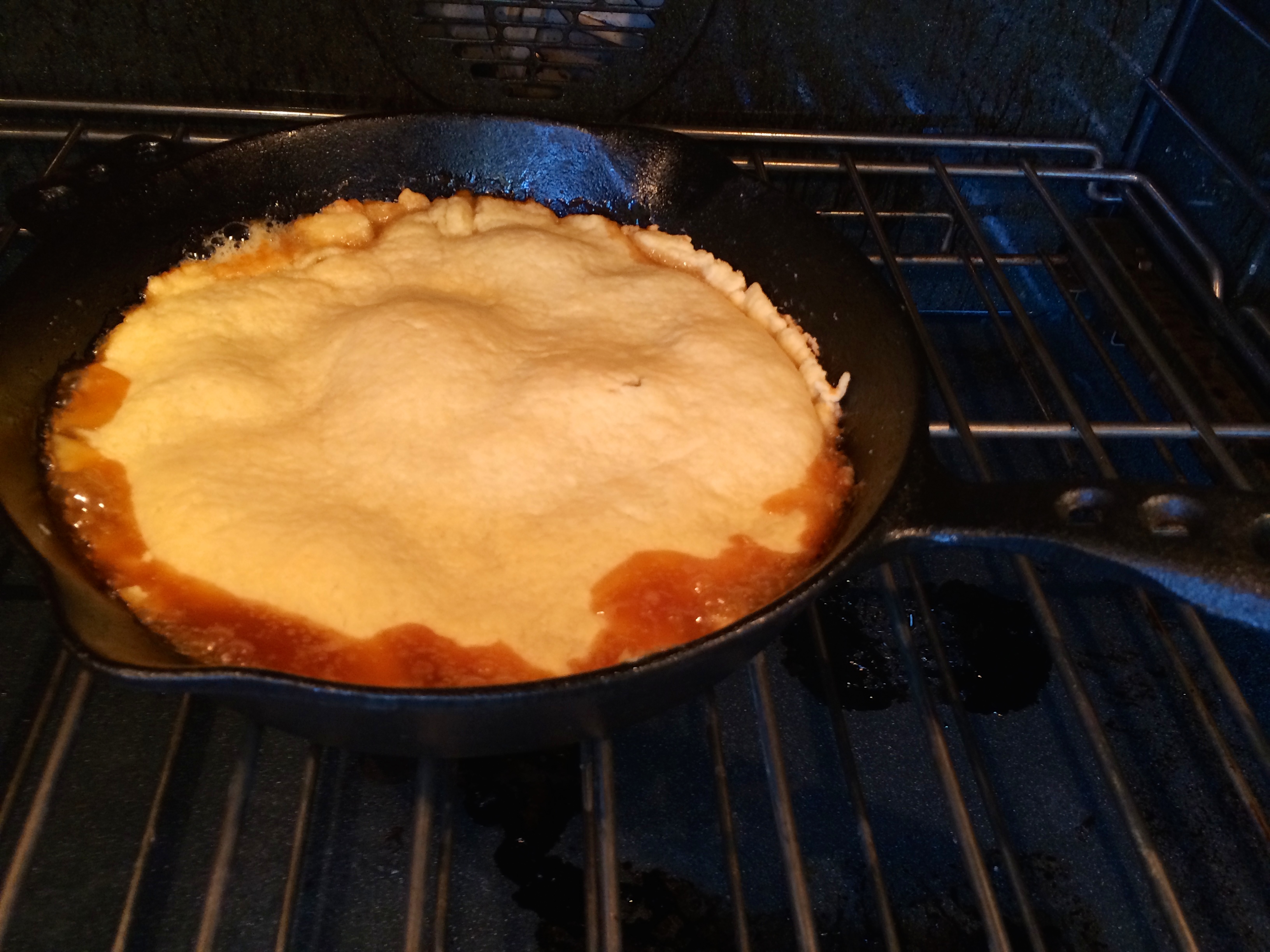Looks good after 25 minutes at 375F photo - Karen Anderson