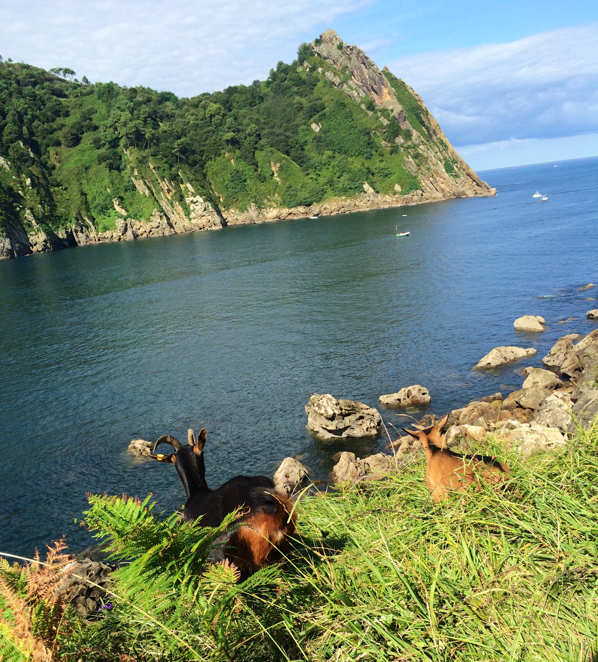 green meets blue - Basque Country, Spain - photo - Karen Anderson