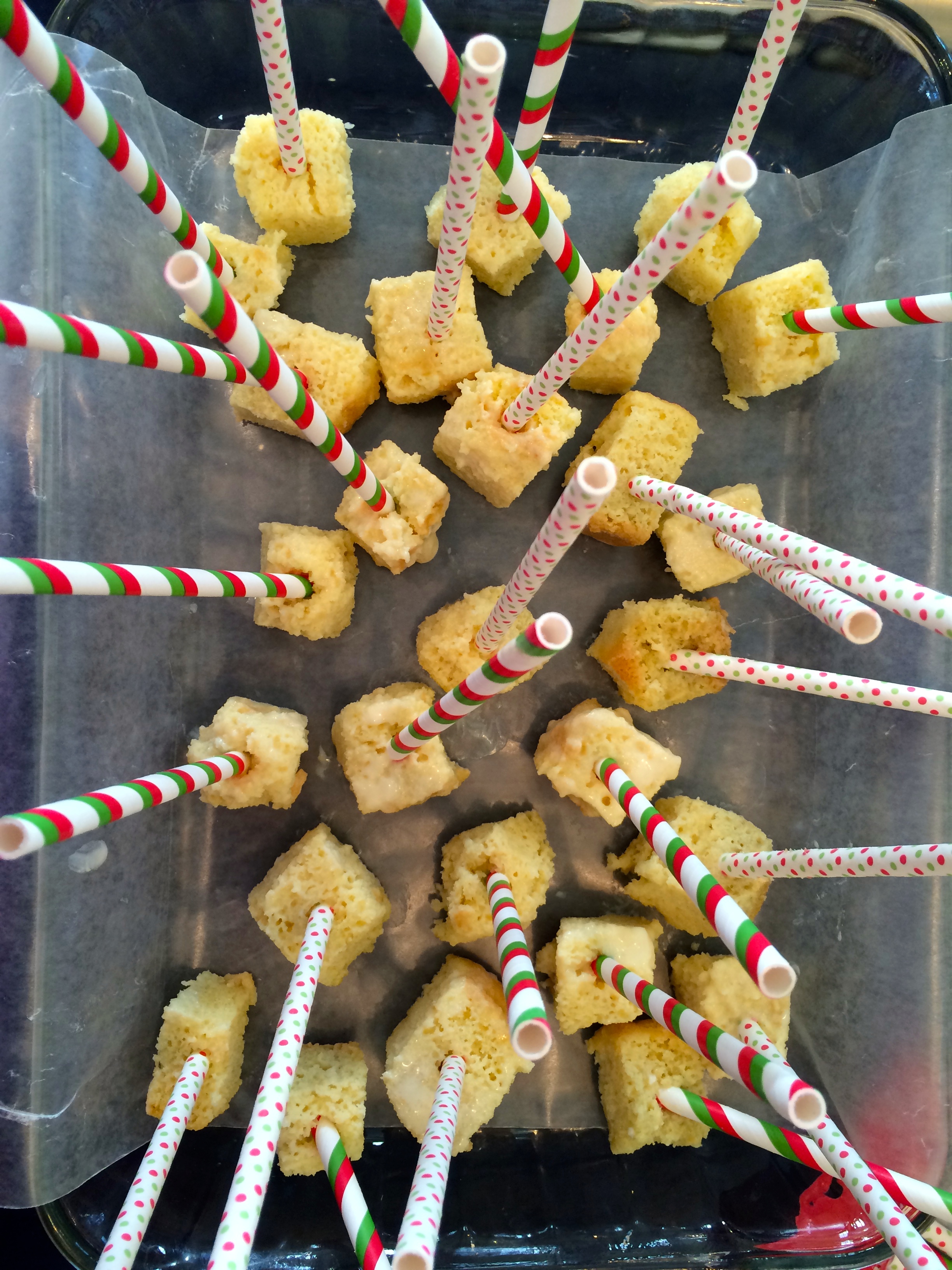ready for the freezer - photo - Karen Anderson