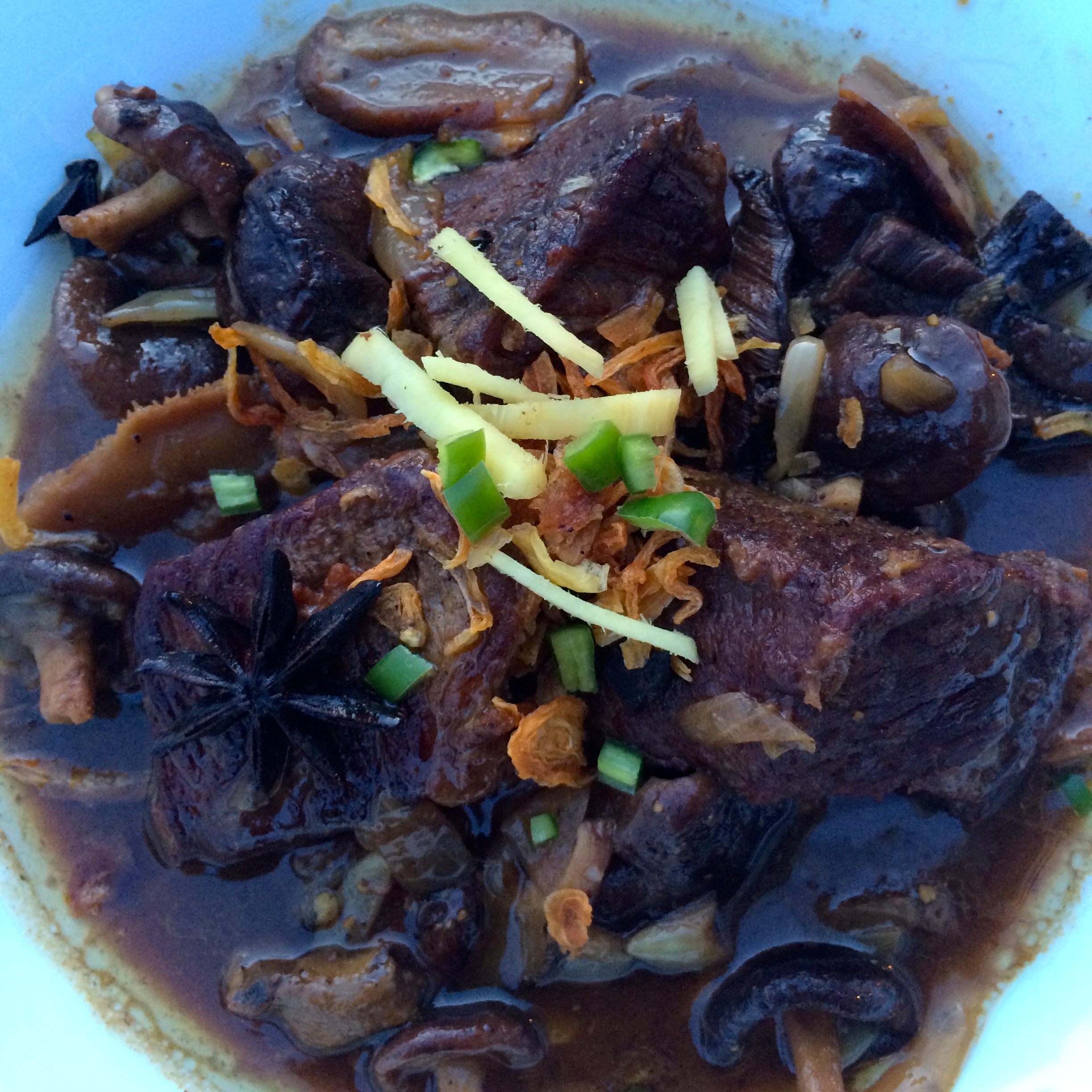 Voila - a star (anise) stew - photo - Karen Anderson
