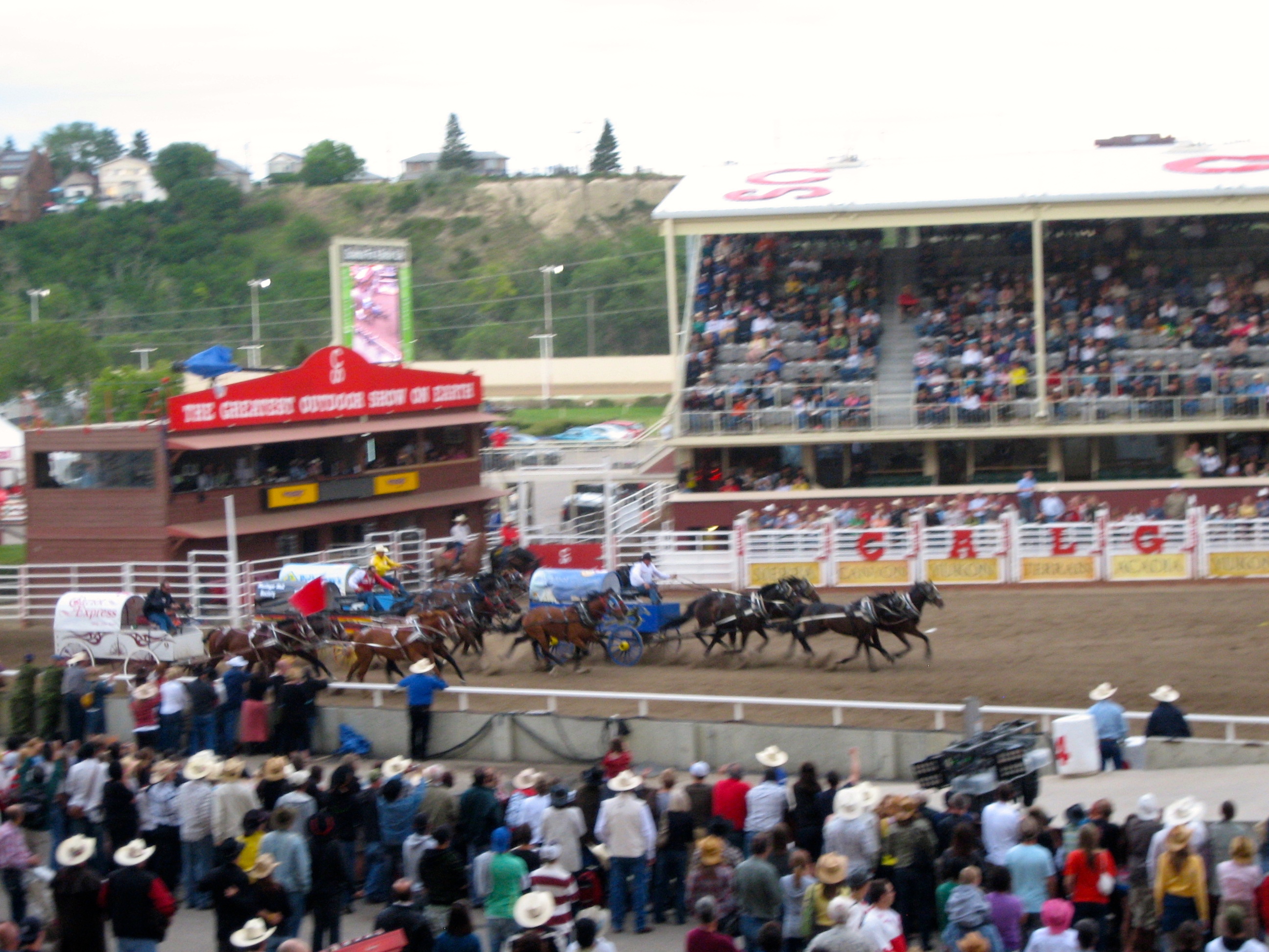 The exciting chuckwagon races - photo - Karen Anderson