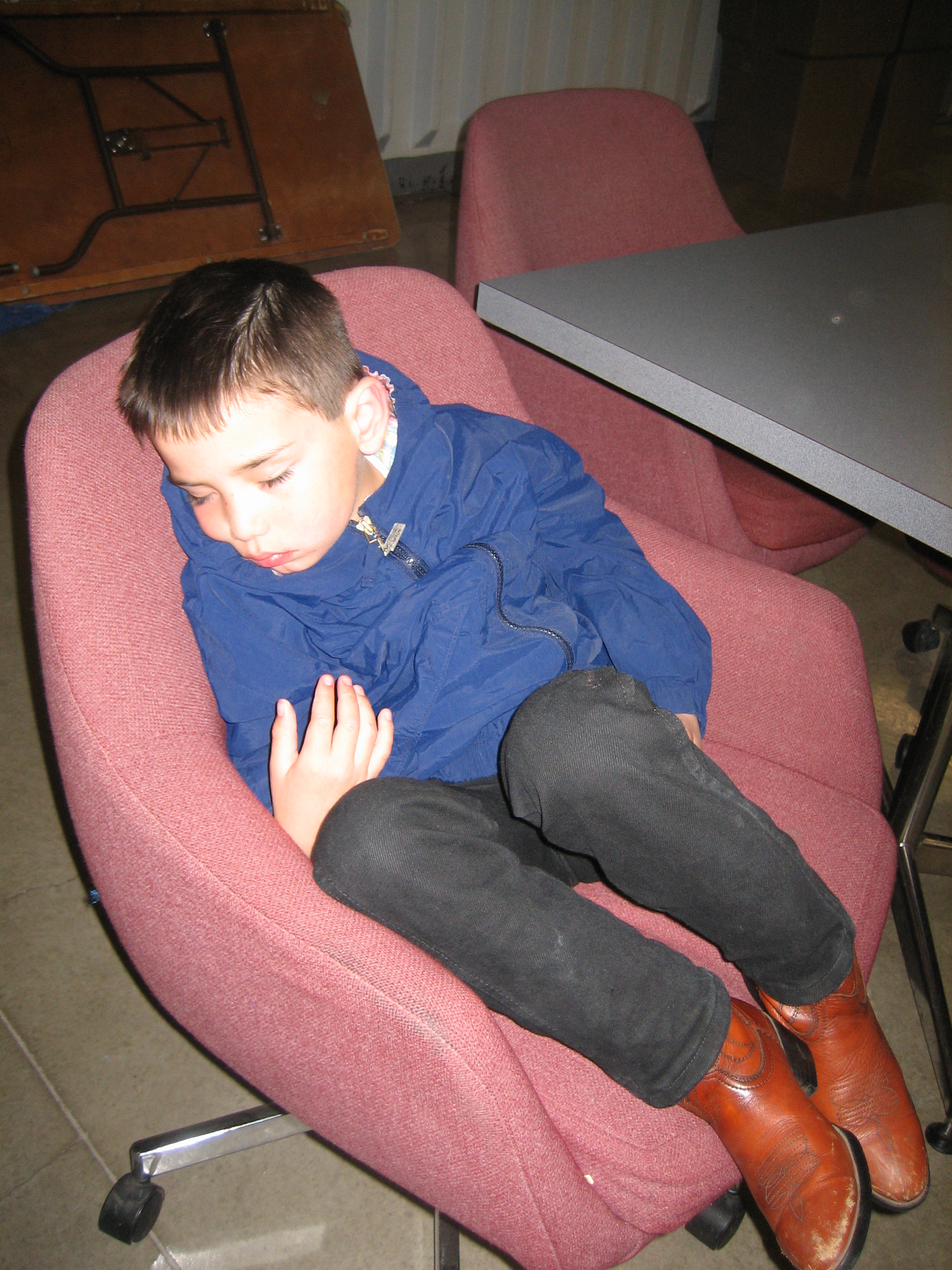 Stampeded out - photo - Karen Anderson