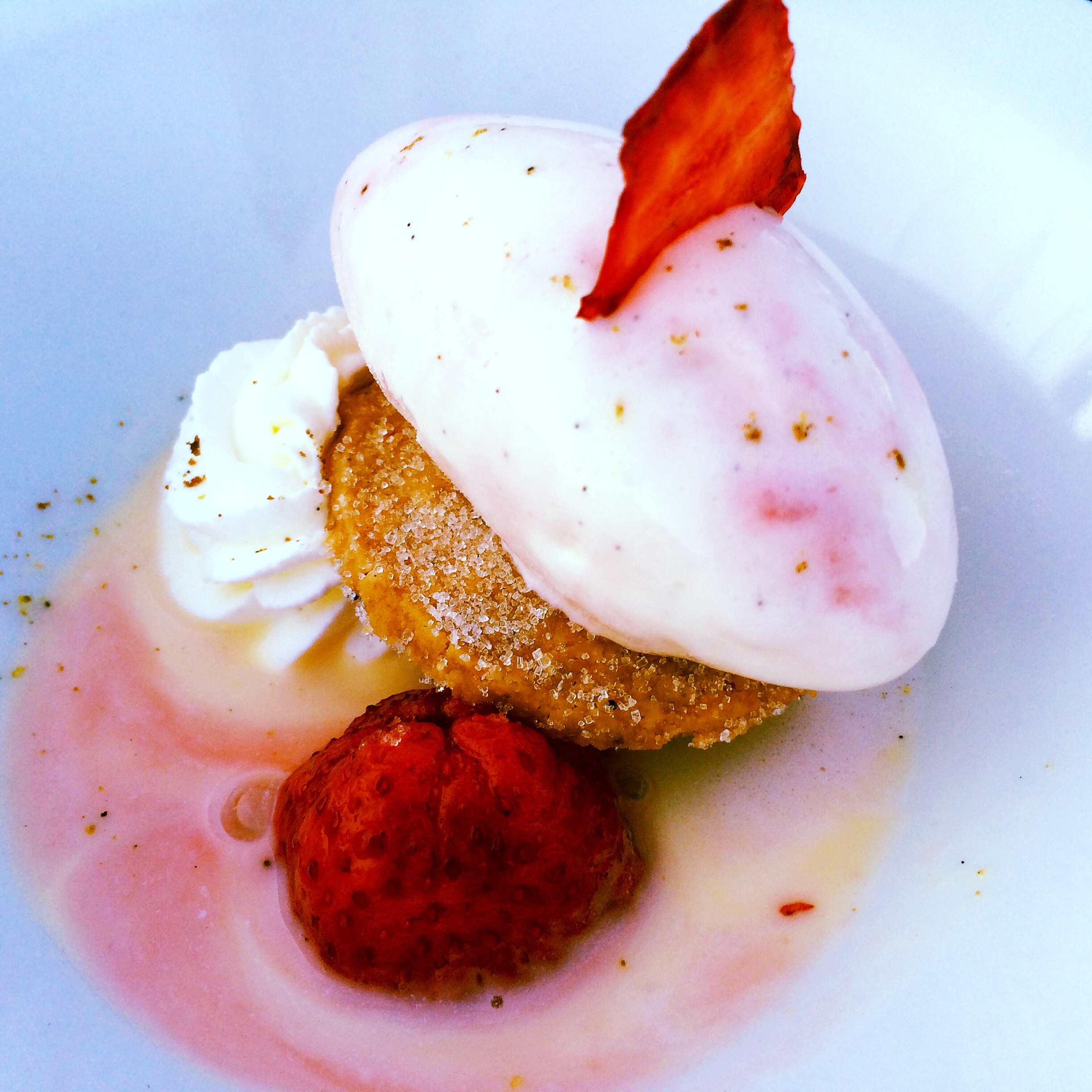 ice cream and strawberries - photo - Karen Anderson