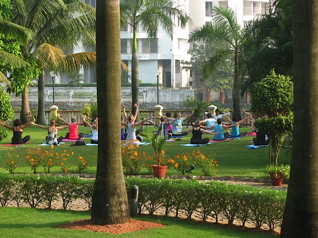 yoga in Kochi - photo - Louise Stirret