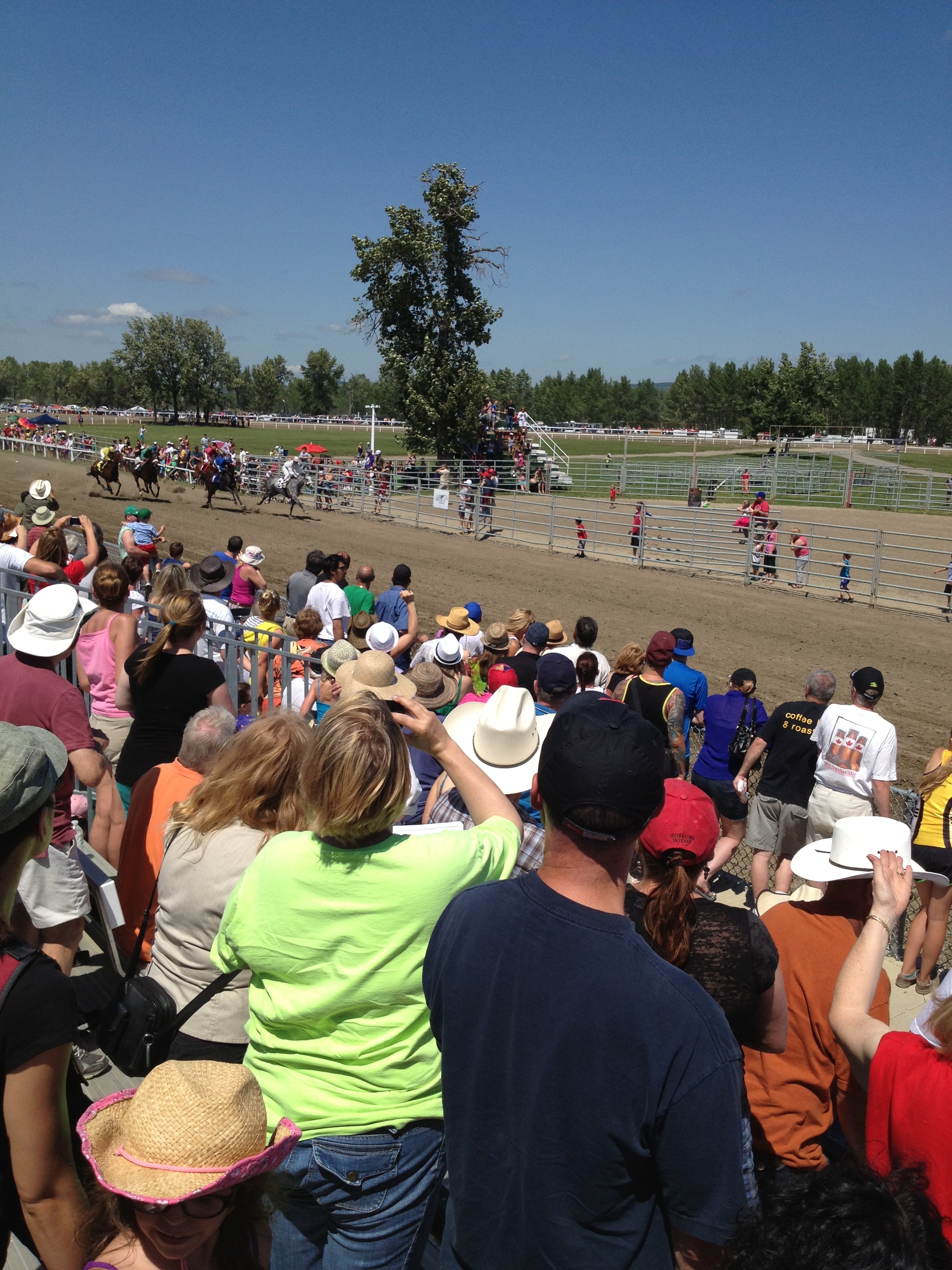 Millarville Races - photo - Karen Anderson