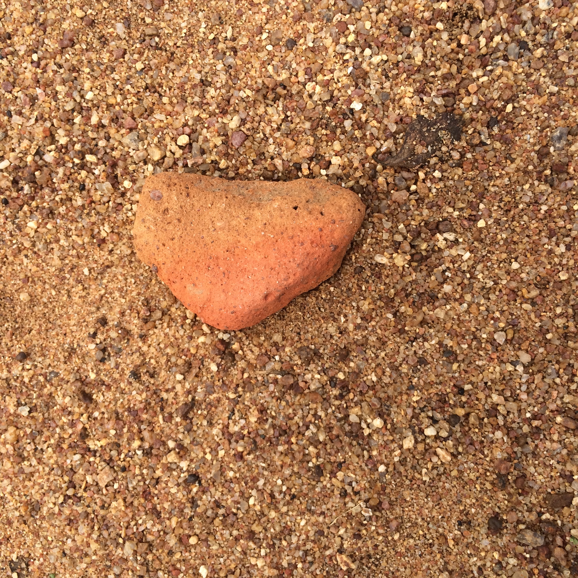 open heart - photo - Karen Anderson