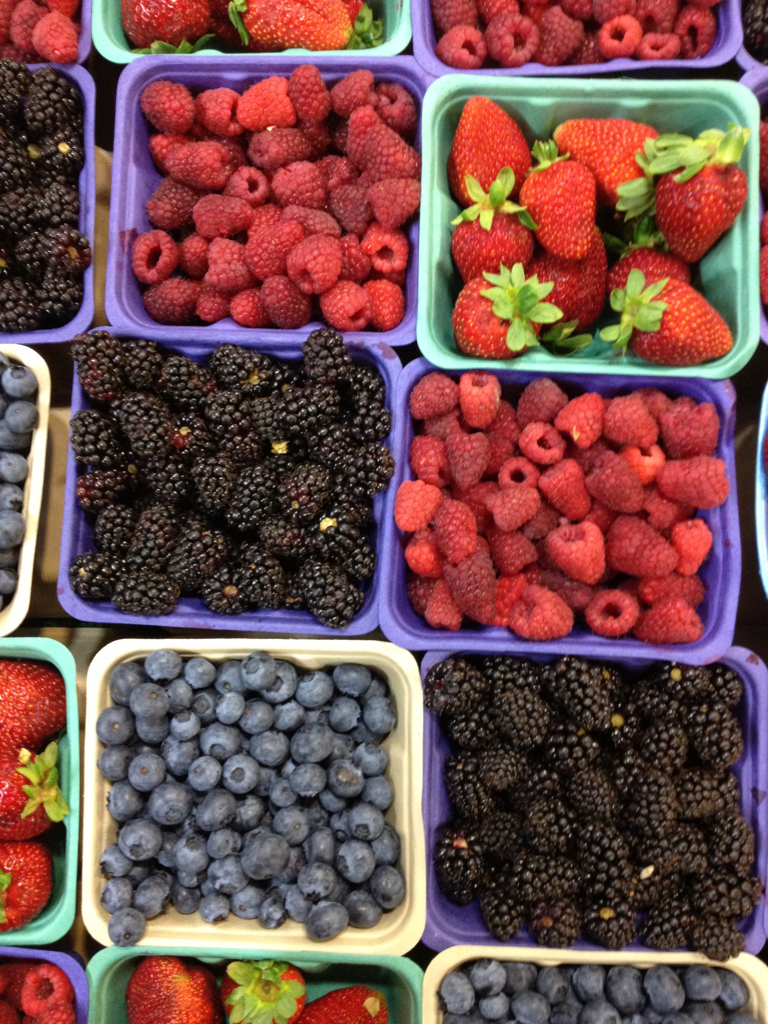 pick your berry - photo - Karen Anderson