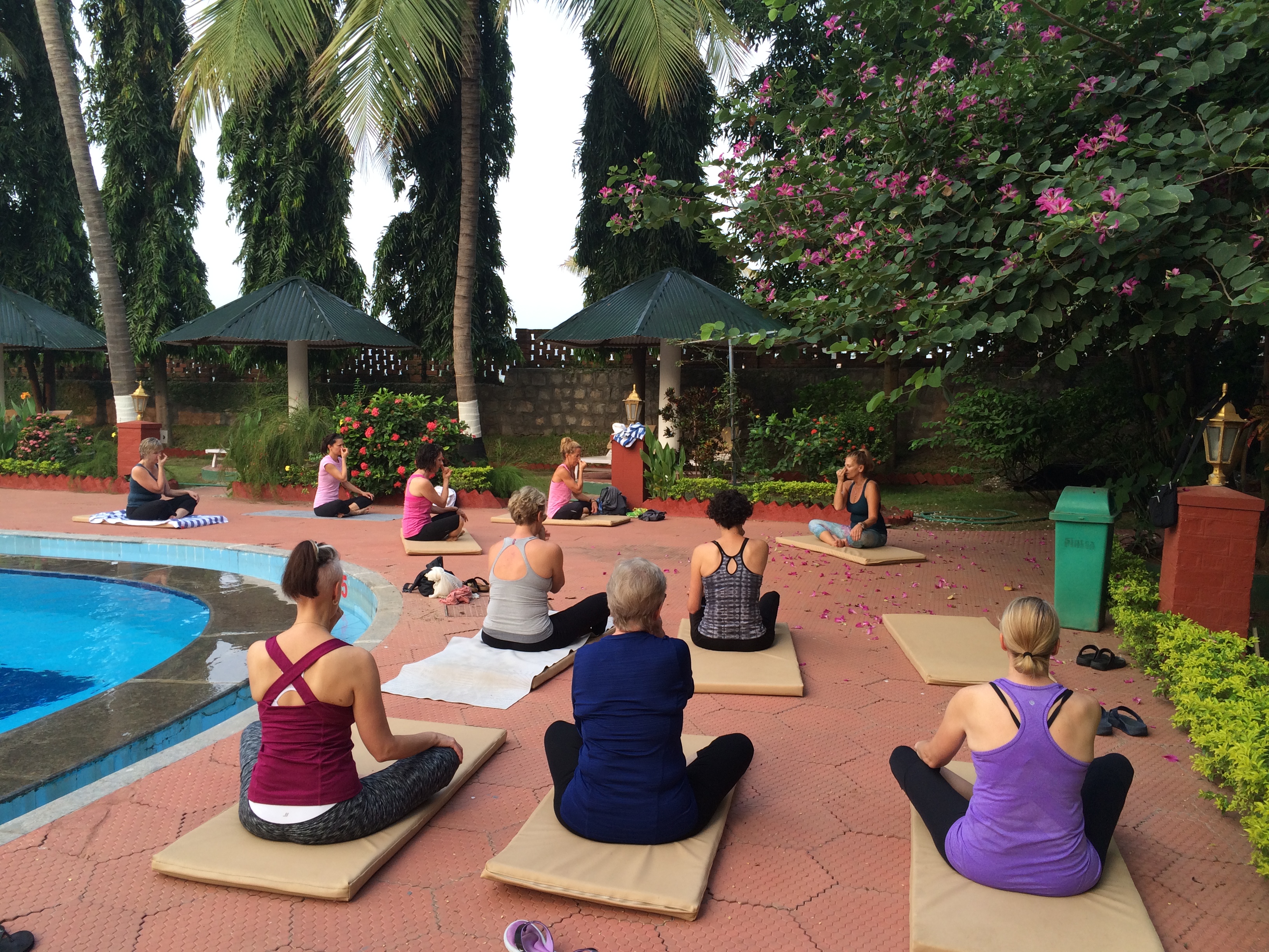 yoga with the birds and the flowers - photo - Karen Anderson