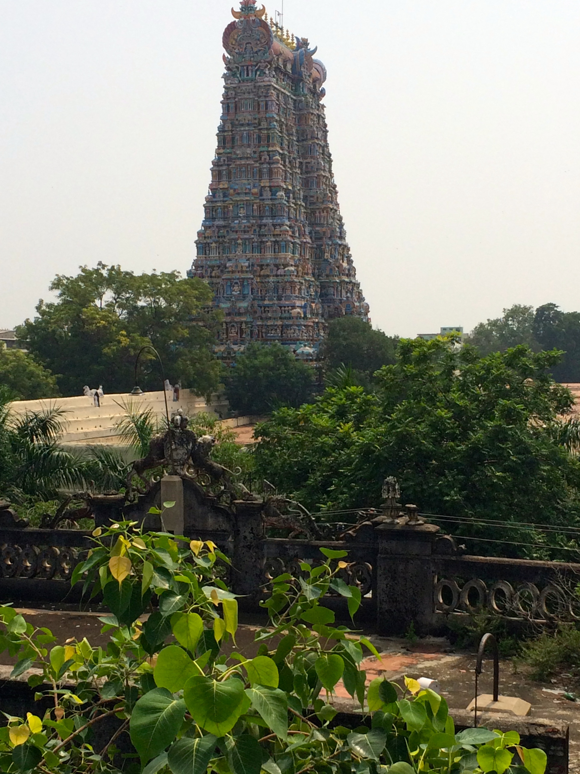 Meenakshi Temple - Madurai - photo - Karen Anderson