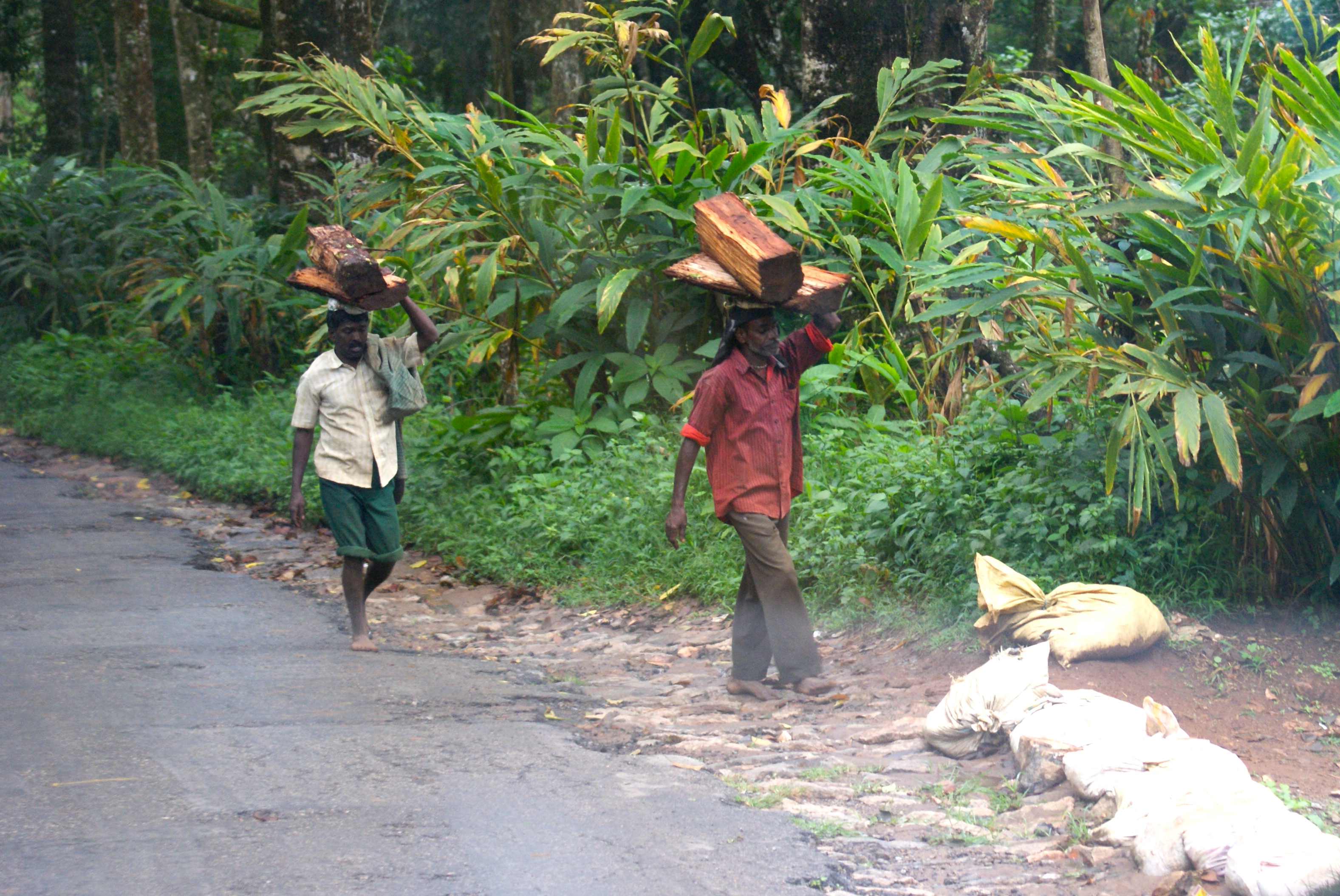 cardamom hills spice workers - photo - Karen Anderson