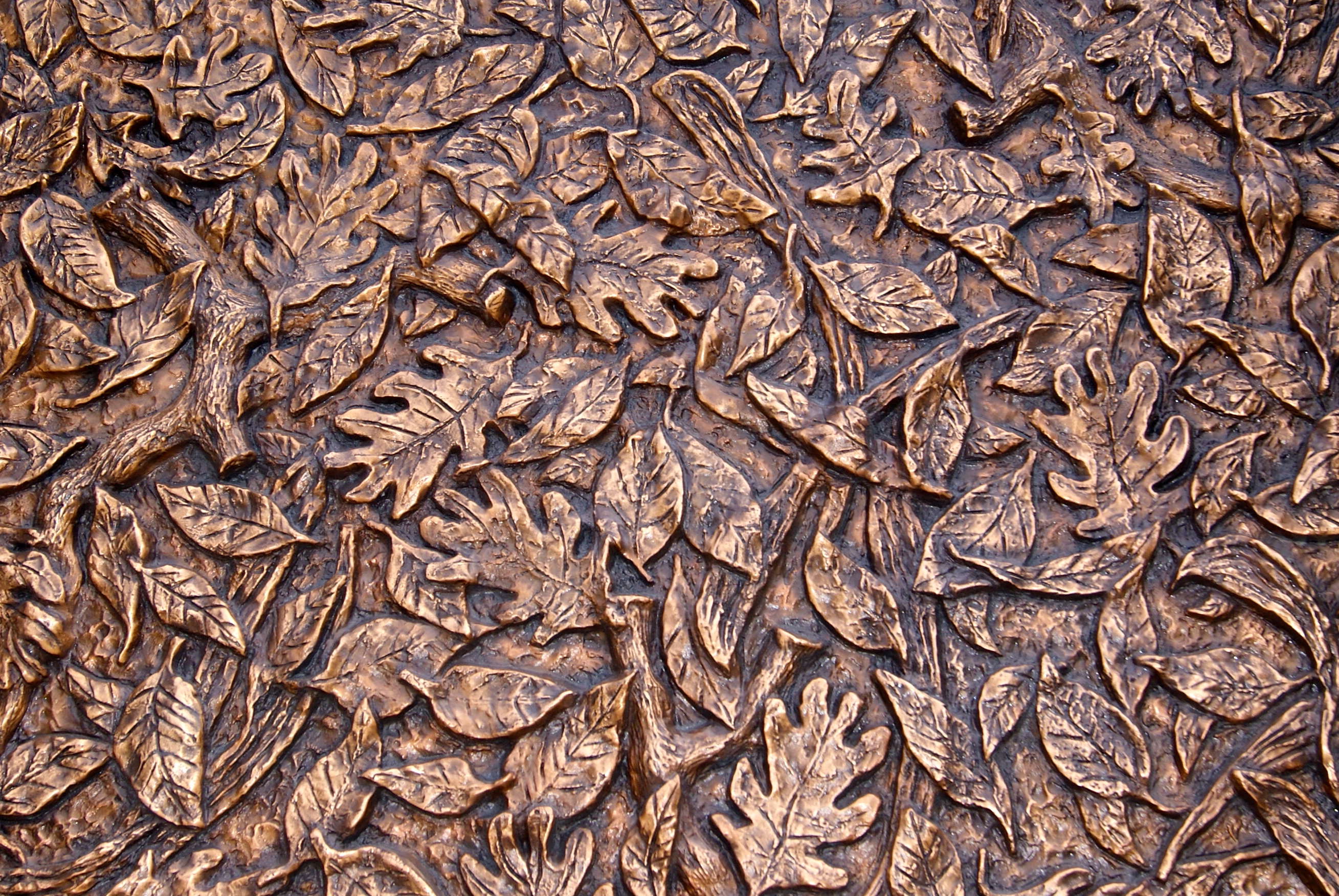 The Chinese have spread to the four corners of Canada like leaves from an Oak