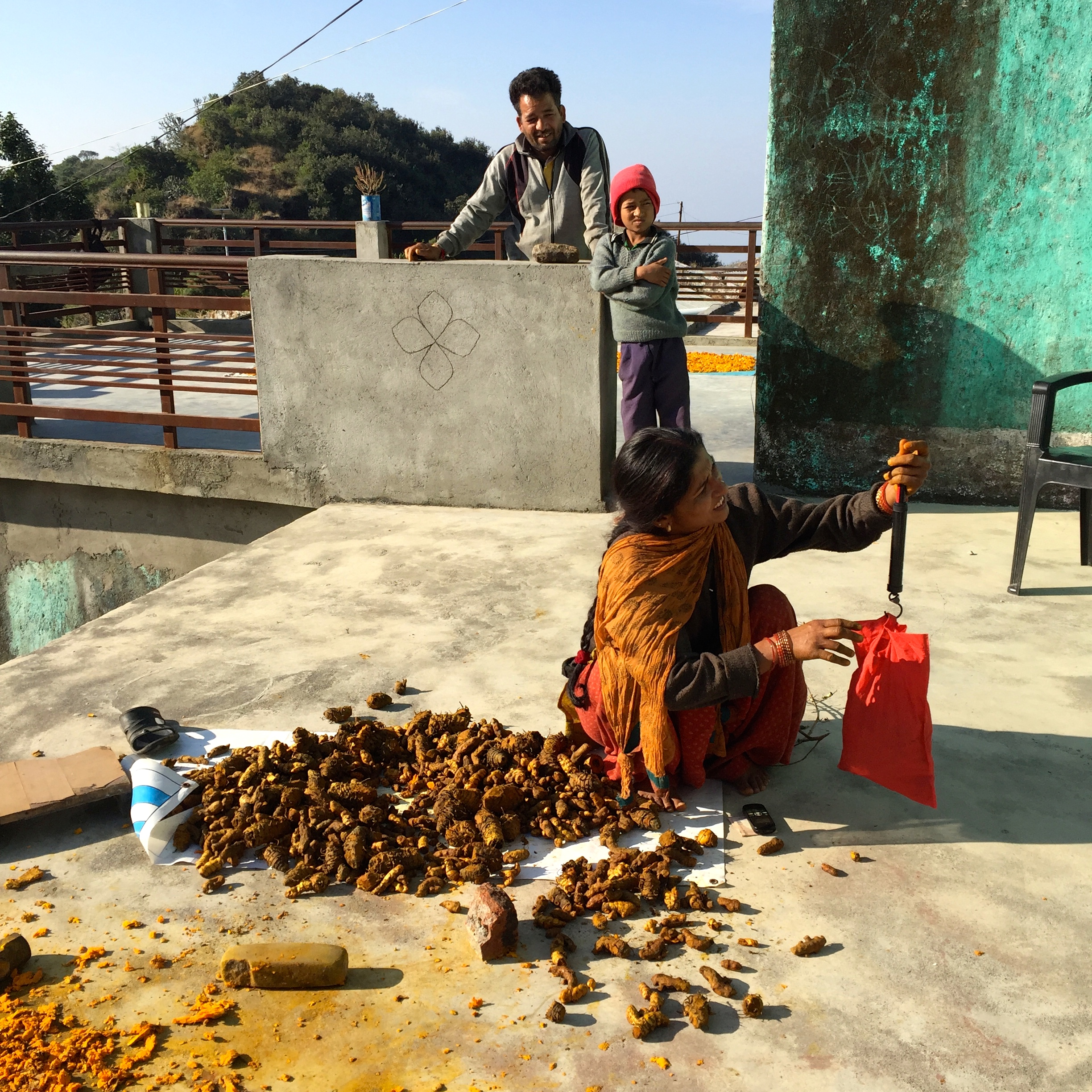 Weighing turmeric - photo credit - Karen Anderson