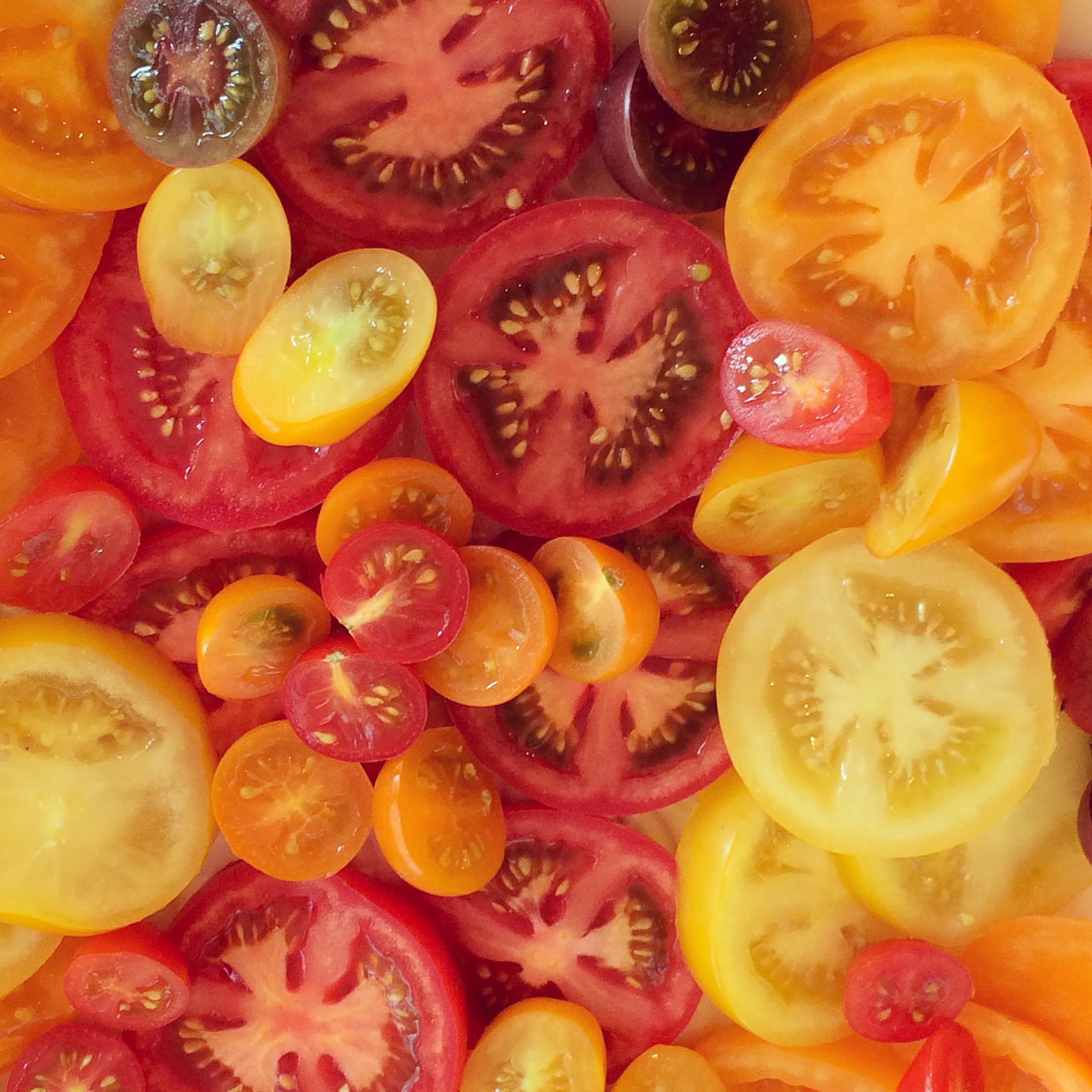 tomatoes - photo credit - Karen Anderson