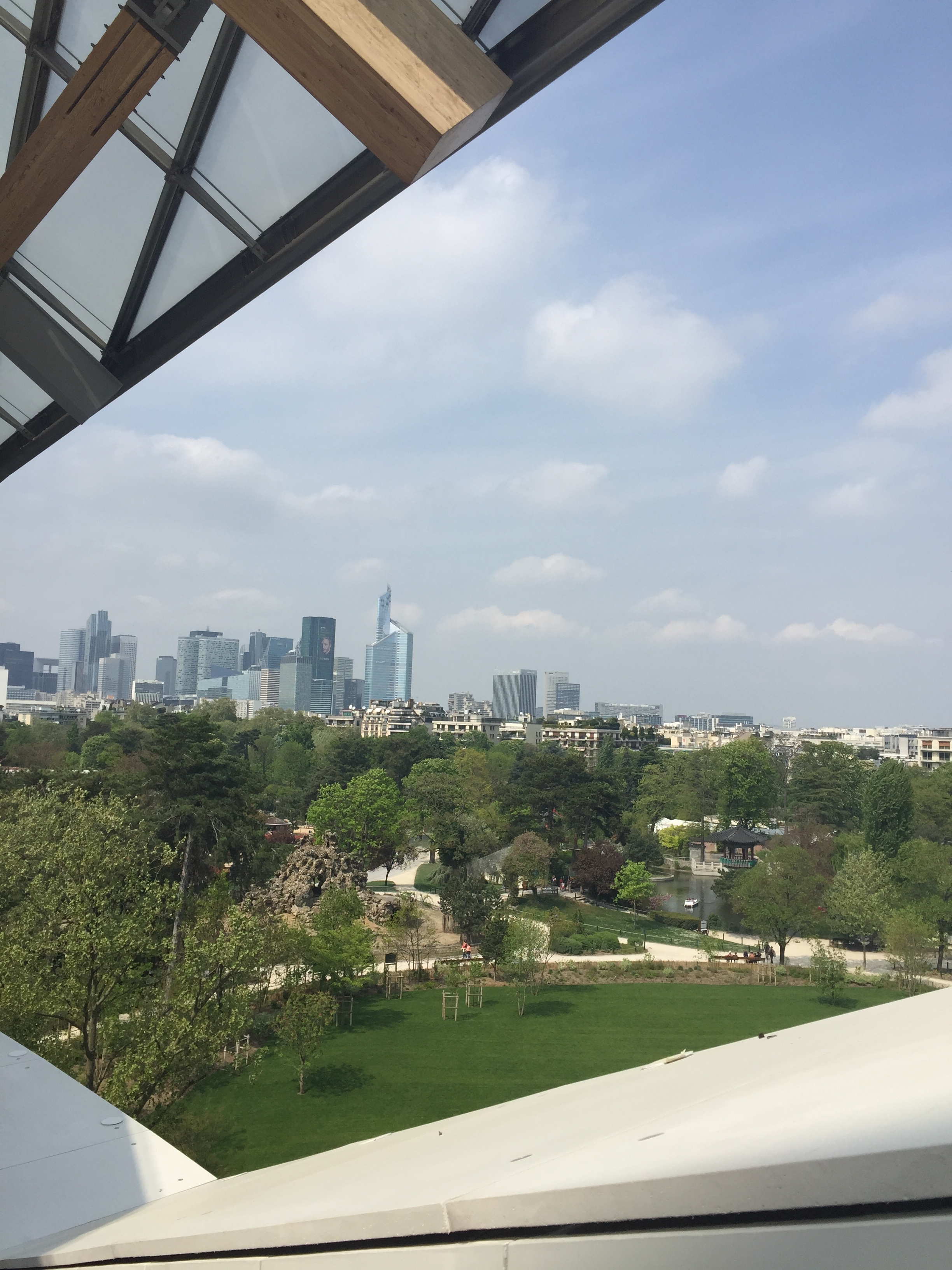 The views of Paris from FLV - photo credit - Karen Anderson