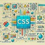 Getting Started With CSS: A Complete Guide For Beginners | Savvy