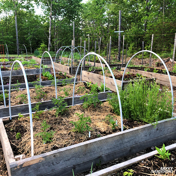 Hoops For Inclosures Low Tunnel Hoops for Weather and Pest Protection