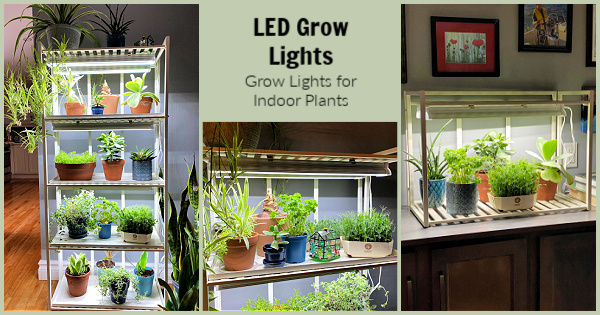grow light frame shelf diy