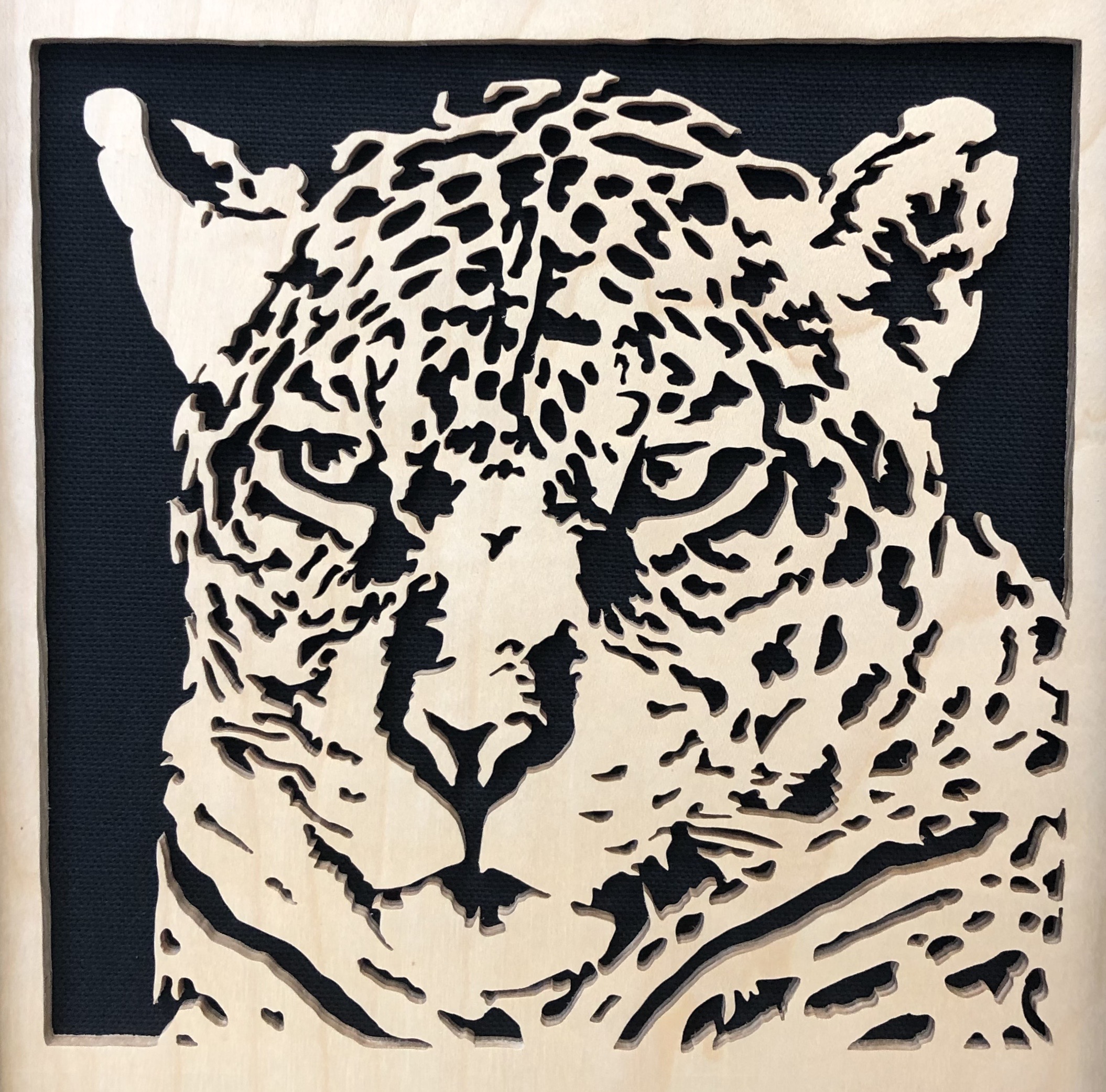 Leopard