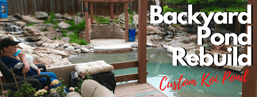 Backyard Pond Rebuild