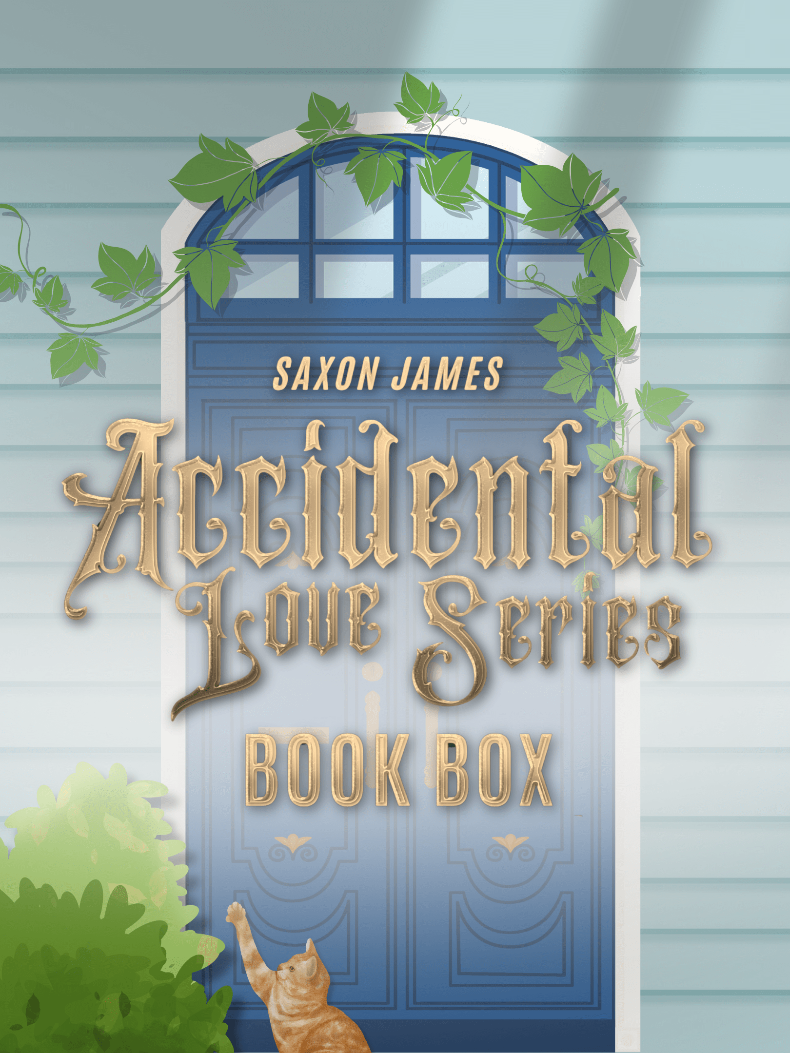 Accidental Love Book Box – Complete Box